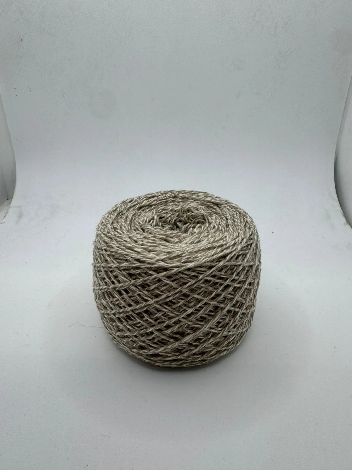 Immagine WhatsApp 2025-12-15 ore 10.48.50_7460a8a5.jpg