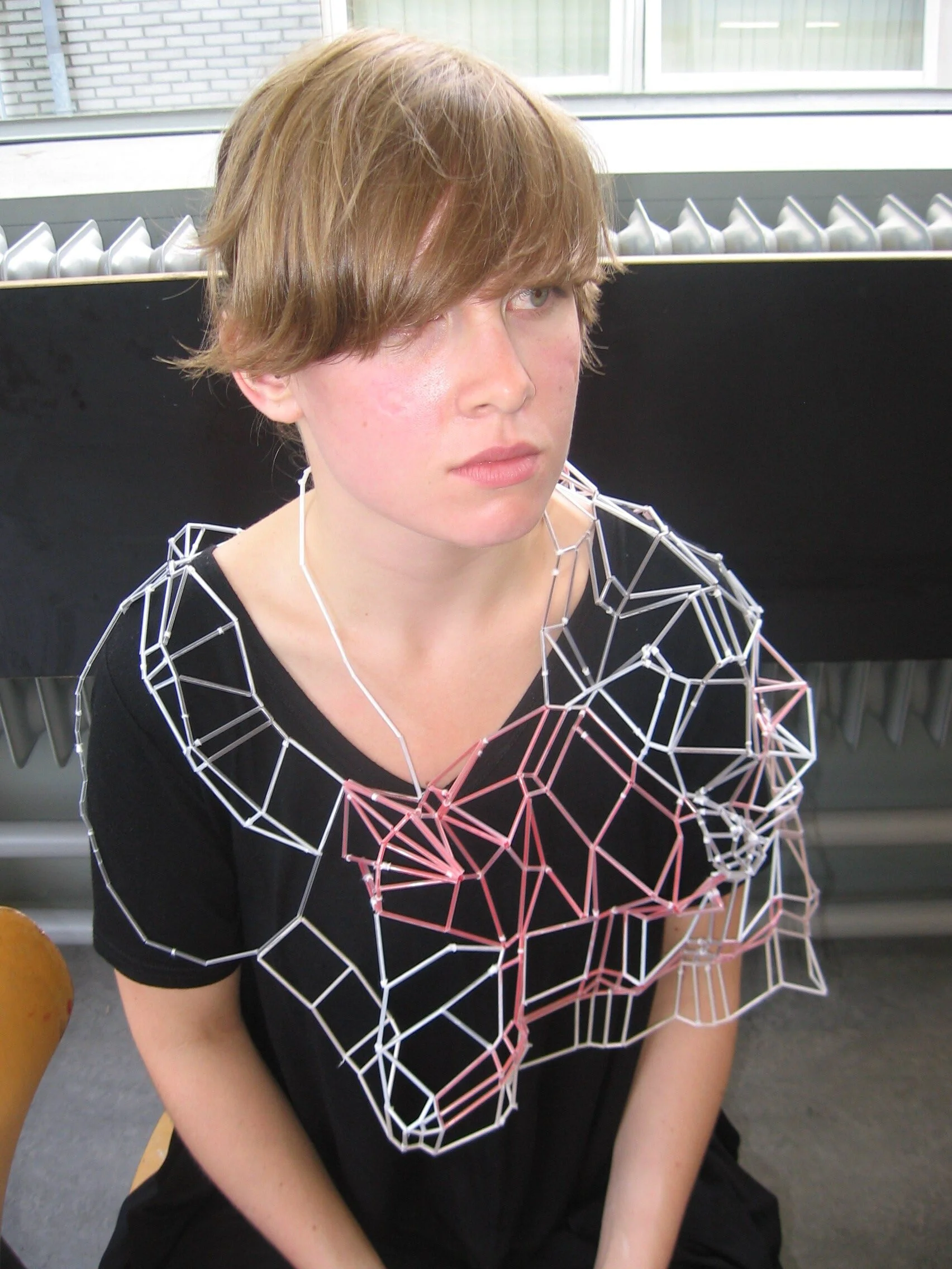 Rietveld presentatie juni 2009 043.jpg