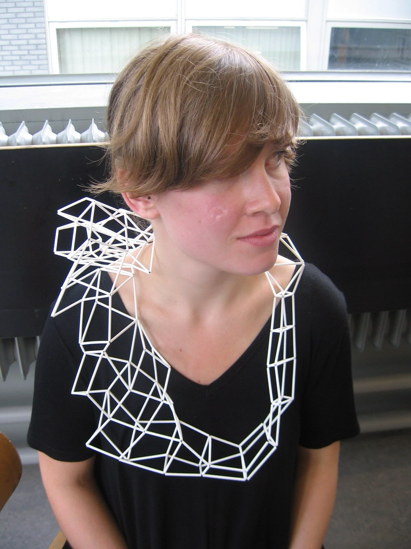 Rietveld presentatie juni 2009 039.jpg