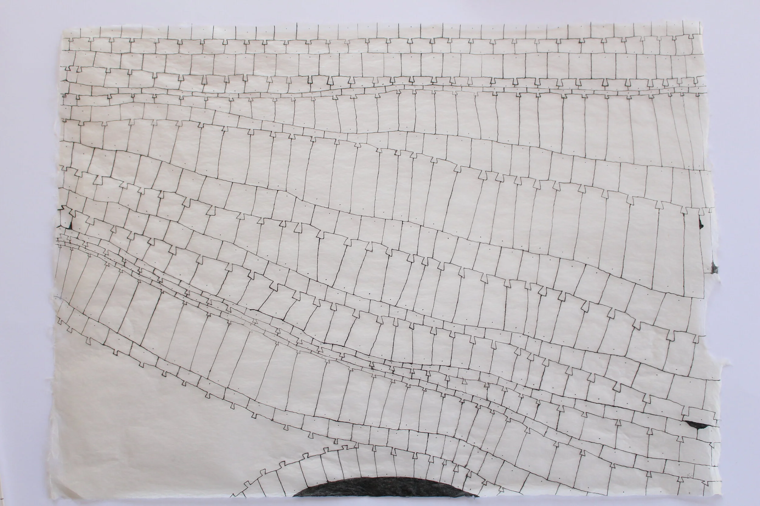 Indian ink drawing on Ganpi paper 