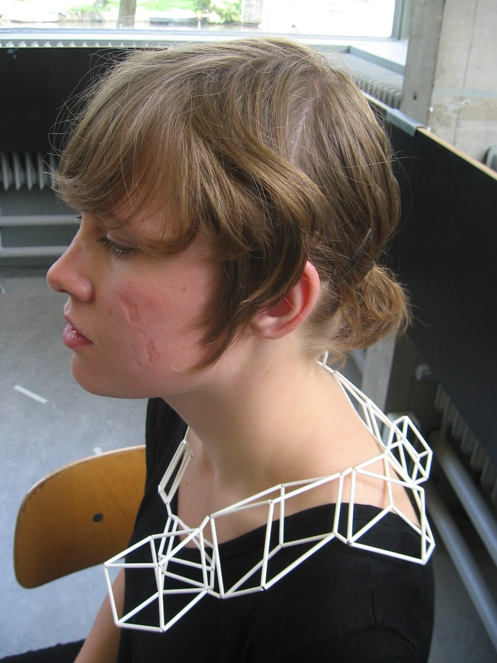 Rietveld presentatie juni 2009 046.jpg