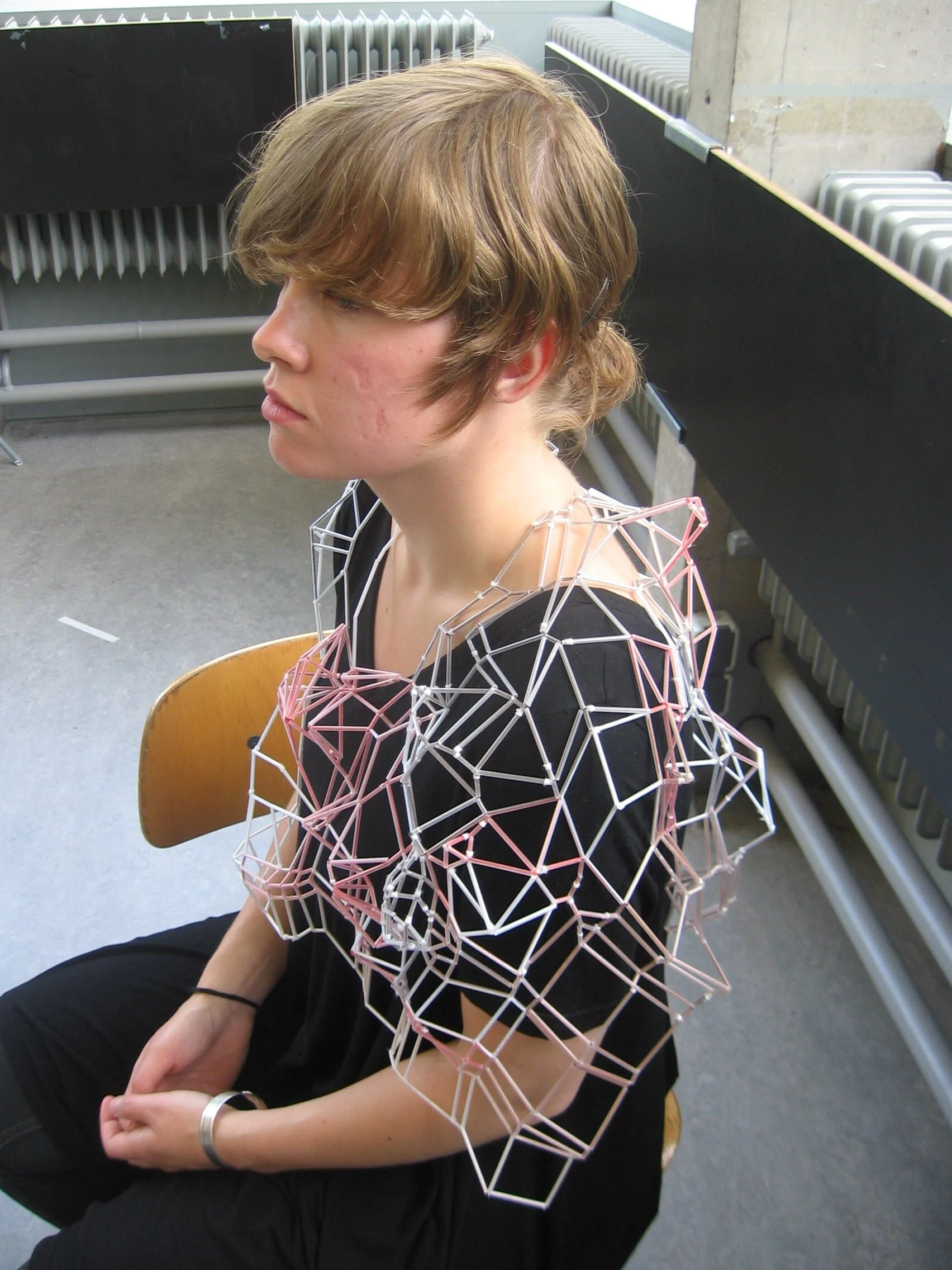Rietveld presentatie juni 2009 044.jpg