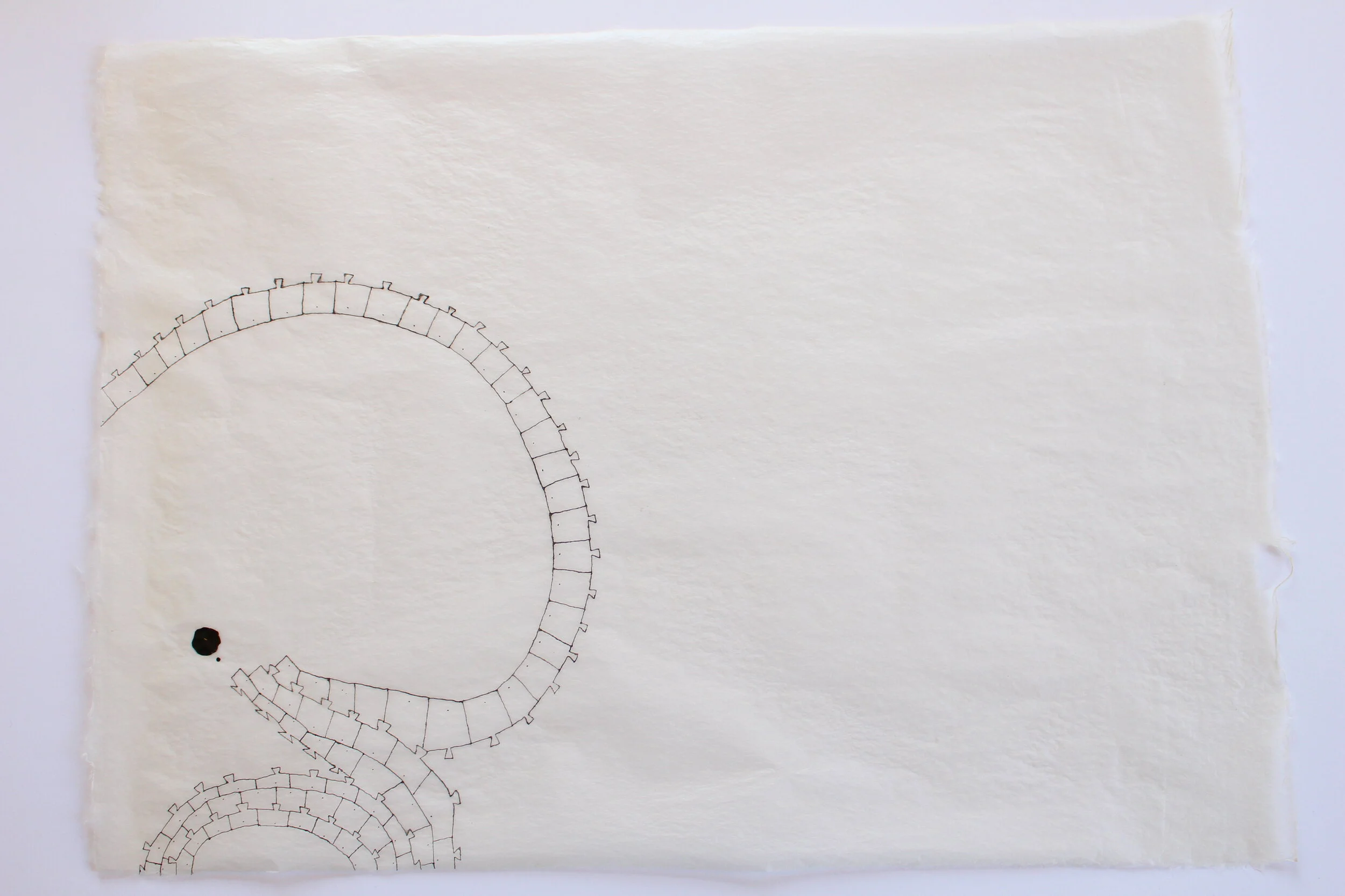 Indian ink drawing on Ganpi paper 