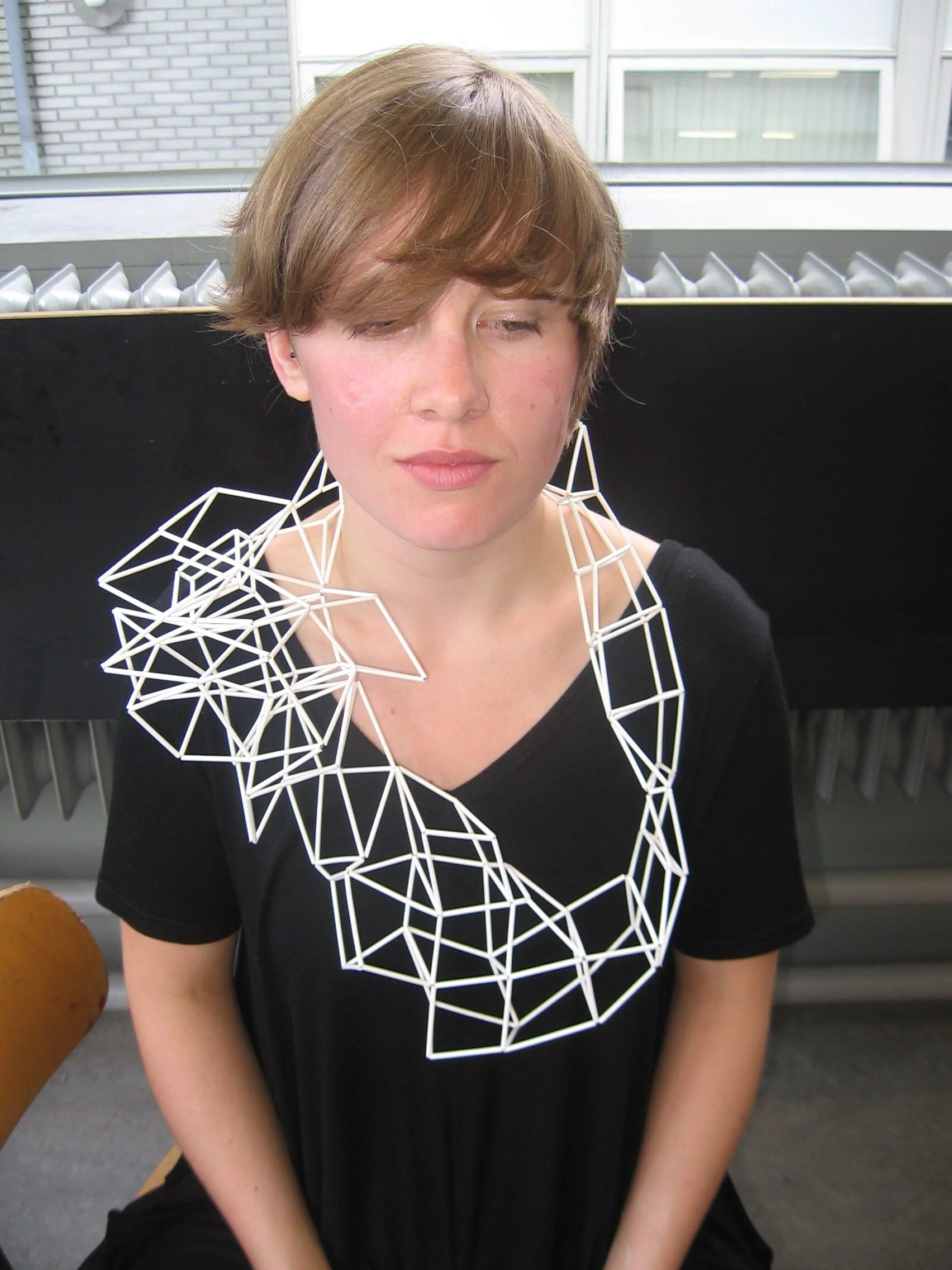 Rietveld presentatie juni 2009 038.jpg