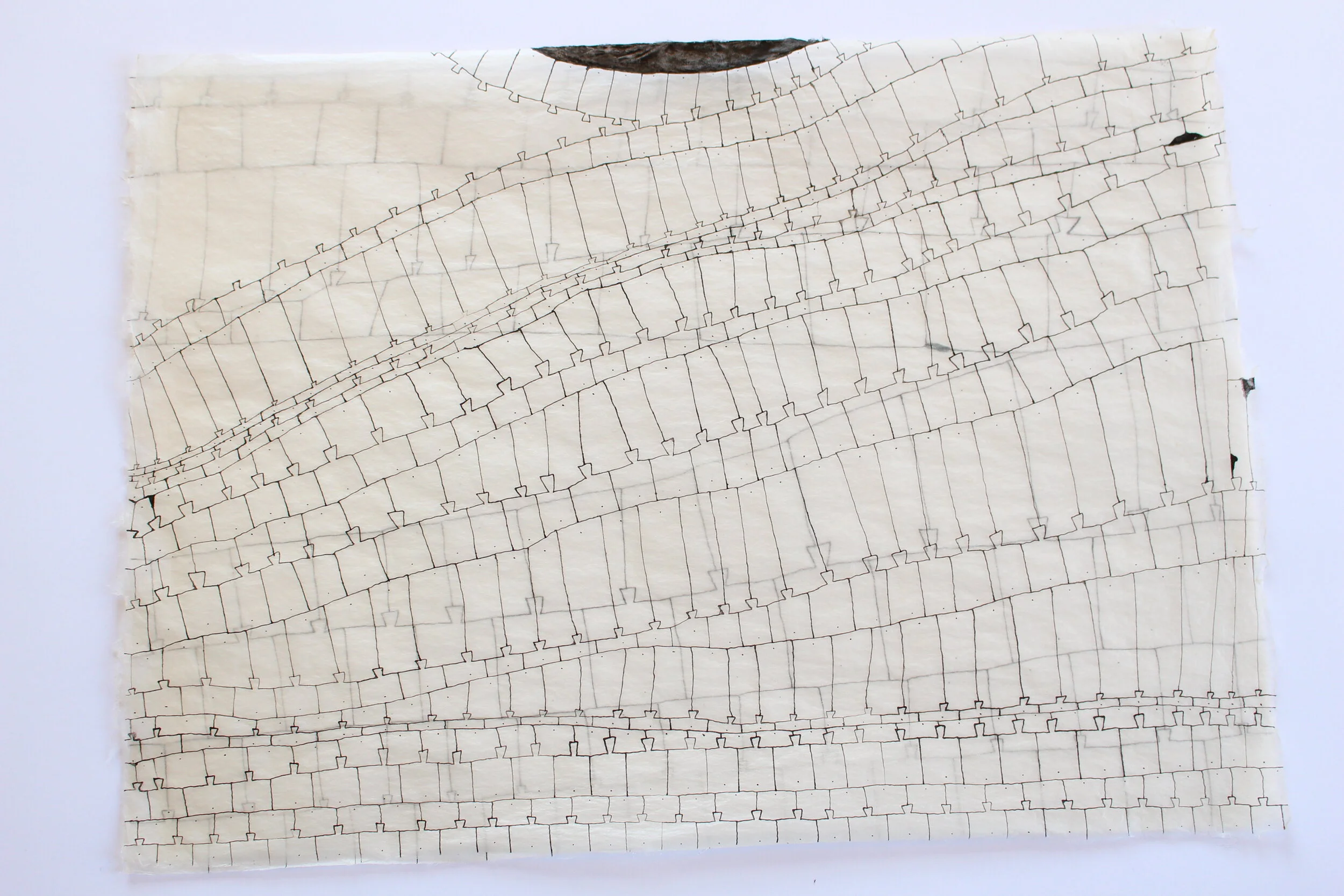 Indian ink drawing on Ganpi paper 