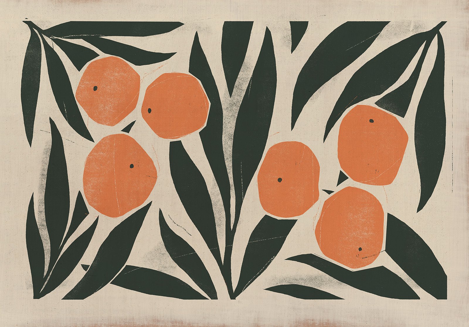NARANJA STUDY 2 .jpg
