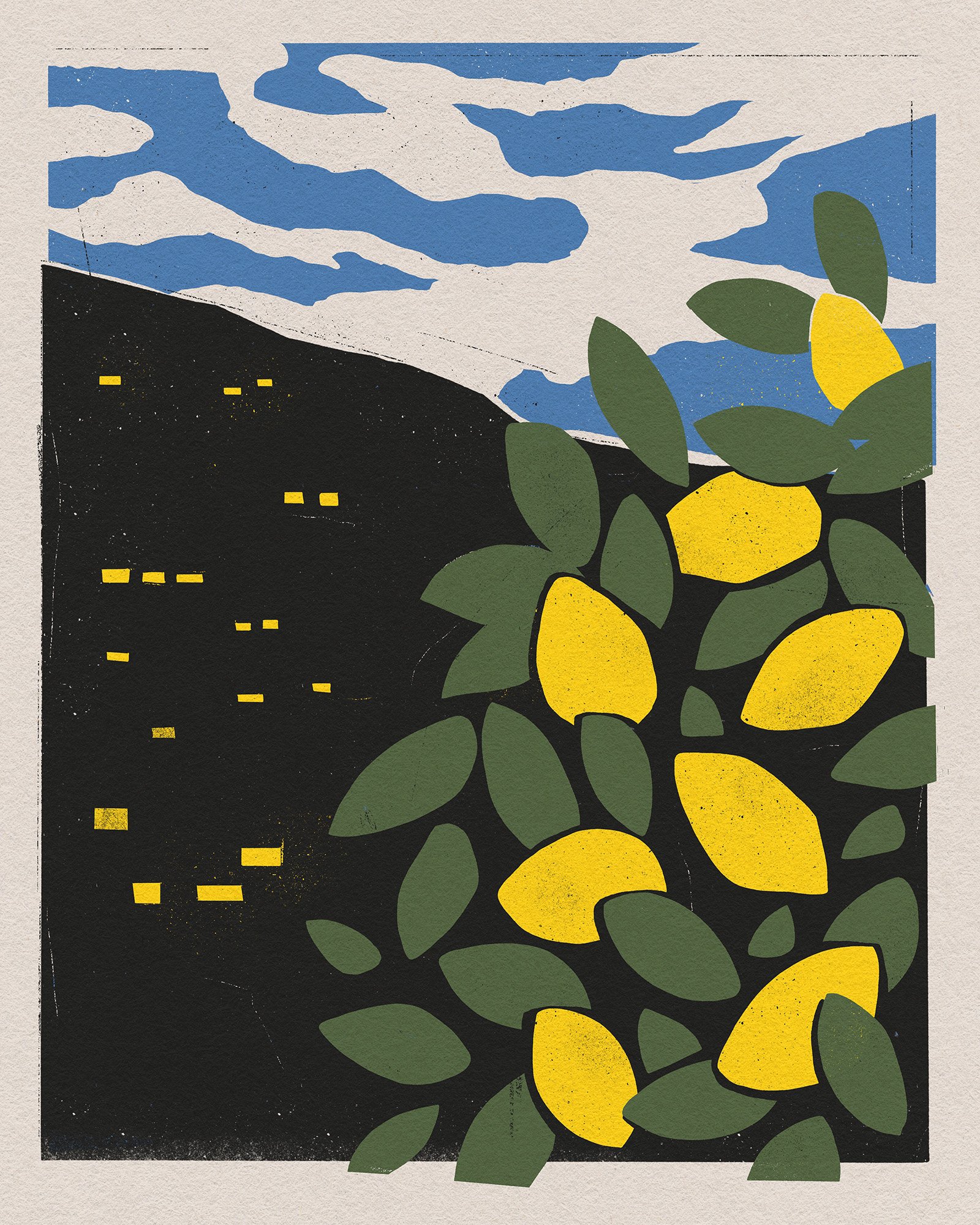 Lemons .jpg