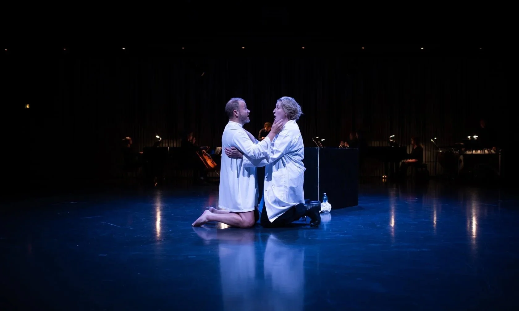 Fidelio - atlaga að óperu