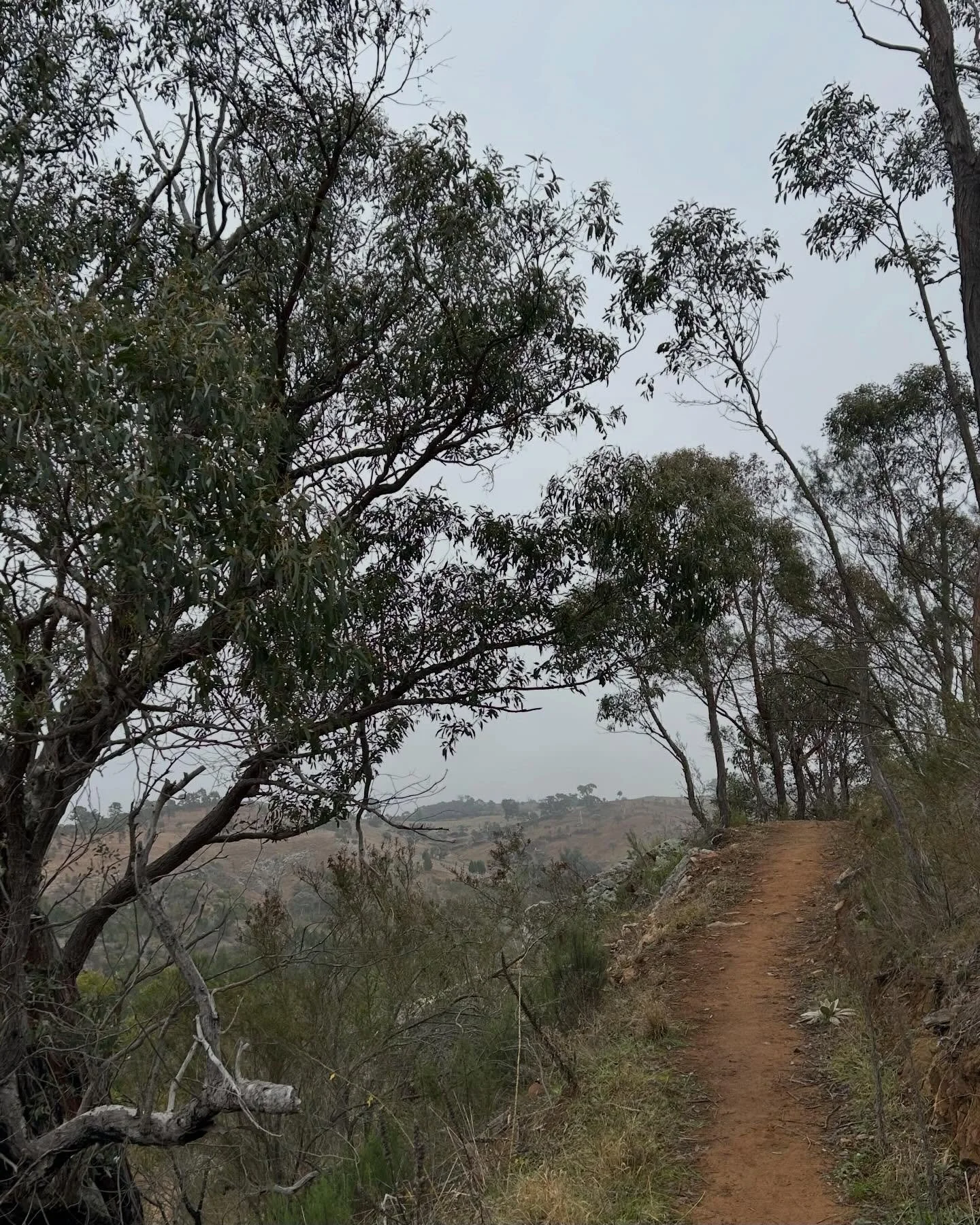 It&rsquo;s World Wildlife Day! A chance to celebrate the wonder and diversity of animals, birds and other living creatures across the globe. 🦜🐠🦘🐨🦎
 
I took this photo on a walk through a local conservation corridor - an example of the work being