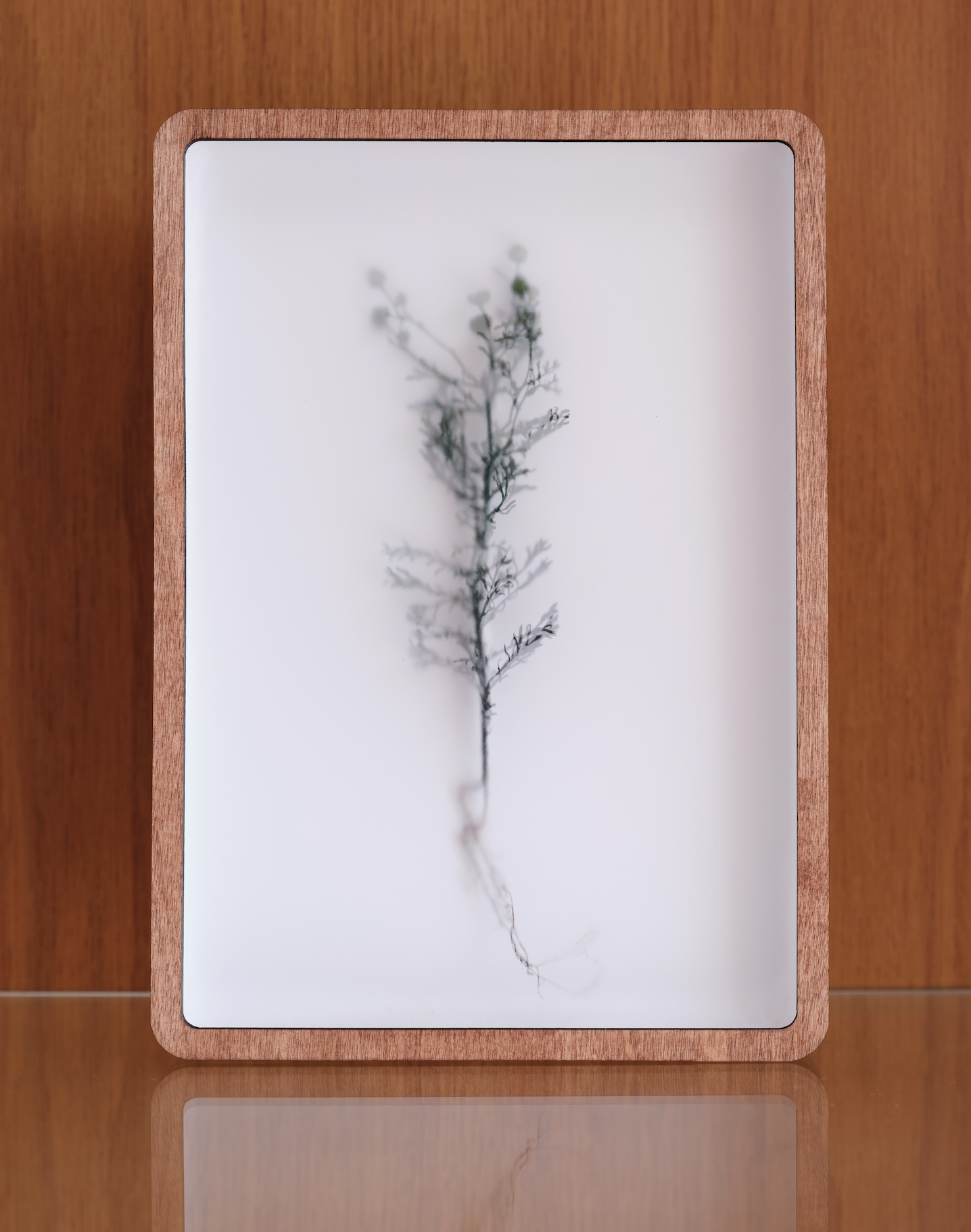 ON SILENT AIR (no.9) - CHARYS WILSON