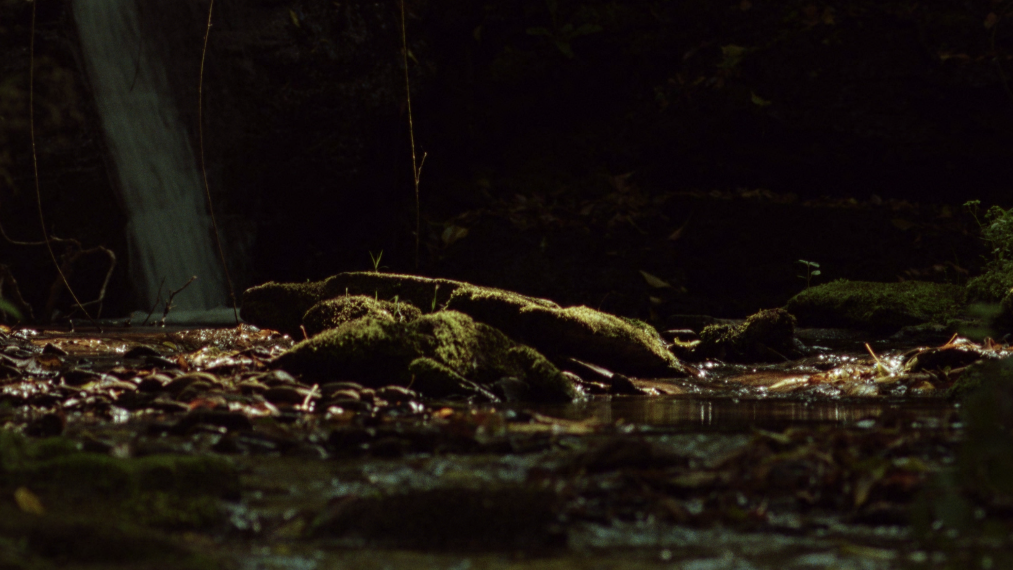 Screenshot 2025-12-02 at 11.29.30.png (Copy)