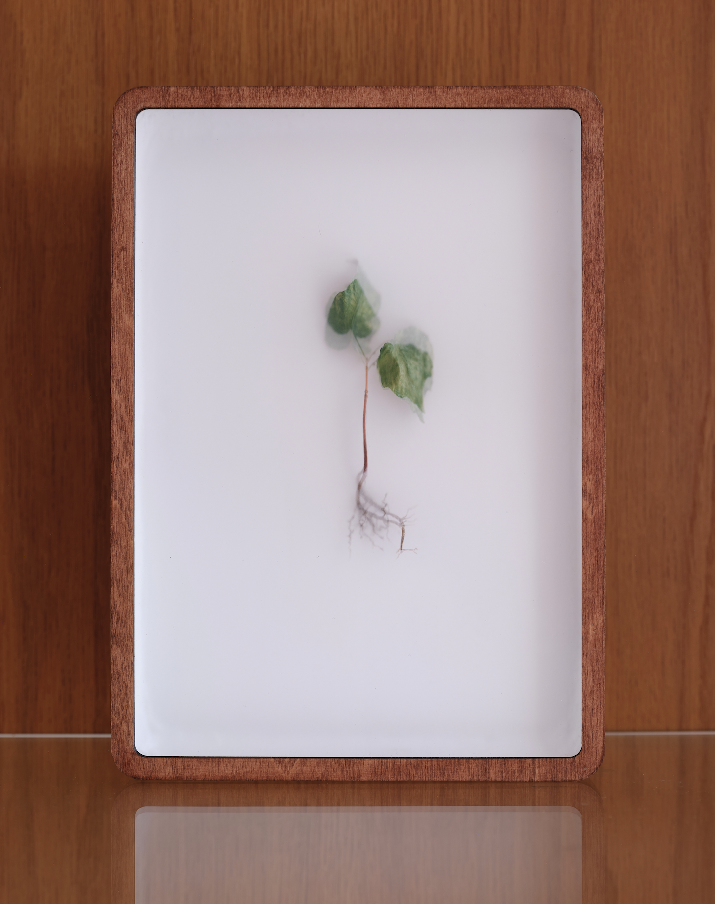 ON SILENT AIR (no.10) - CHARYS WILSON