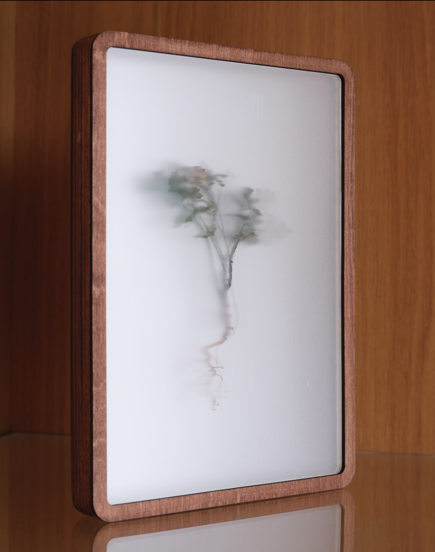 ON SILENT AIR (no.8) - CHARYS WILSON