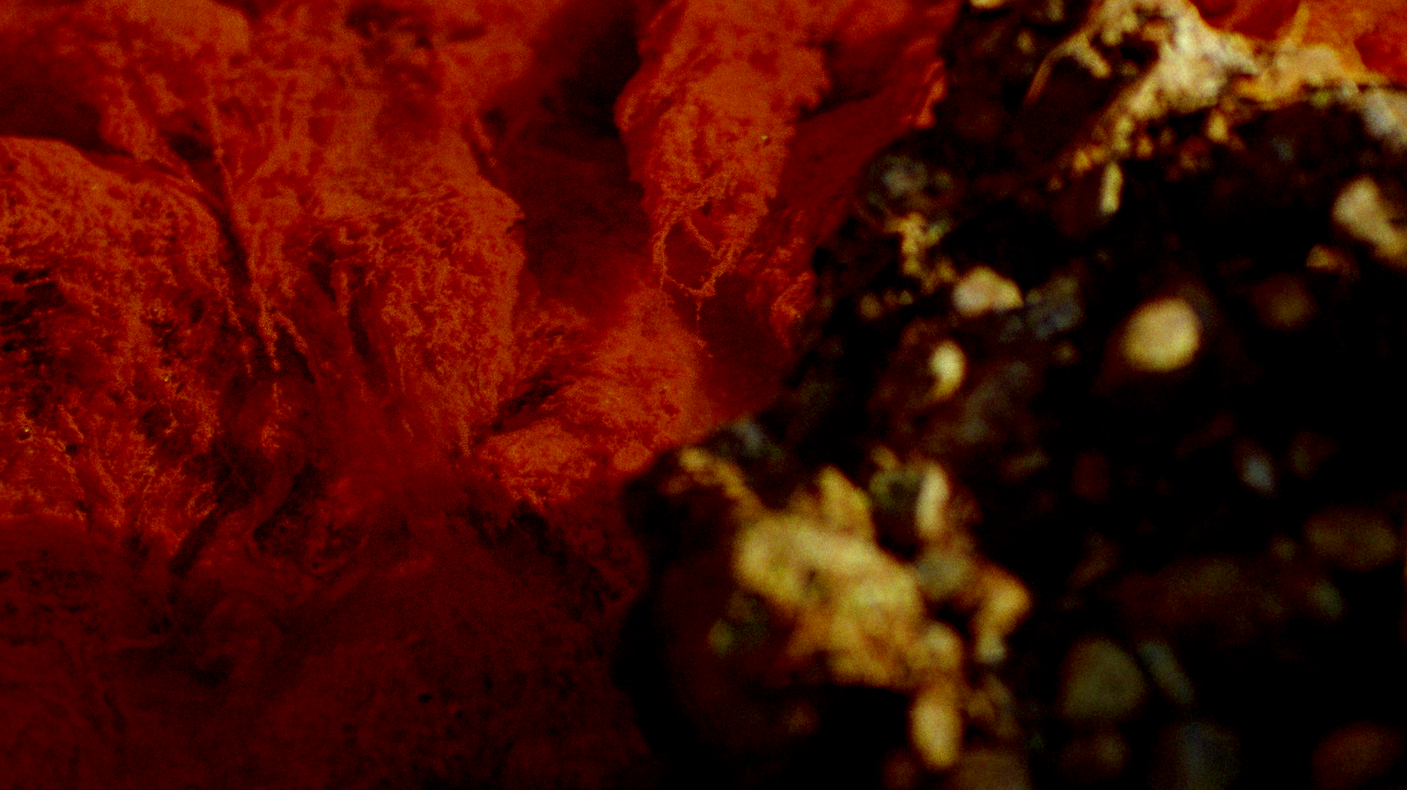 Screenshot%2B2025-12-02%2Bat%2B11.28.45.png (Copy)