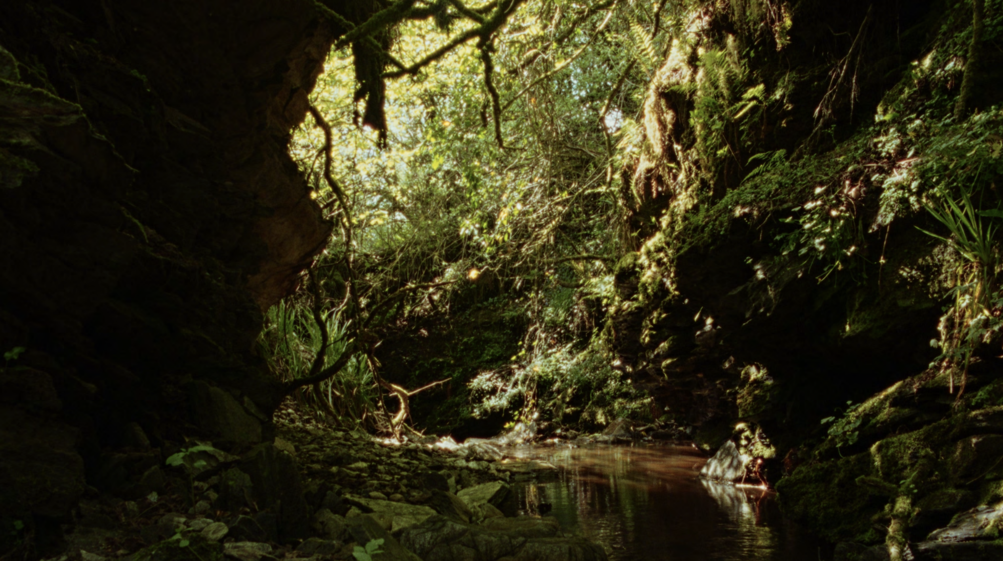 Screenshot 2025-12-02 at 11.29.49.png