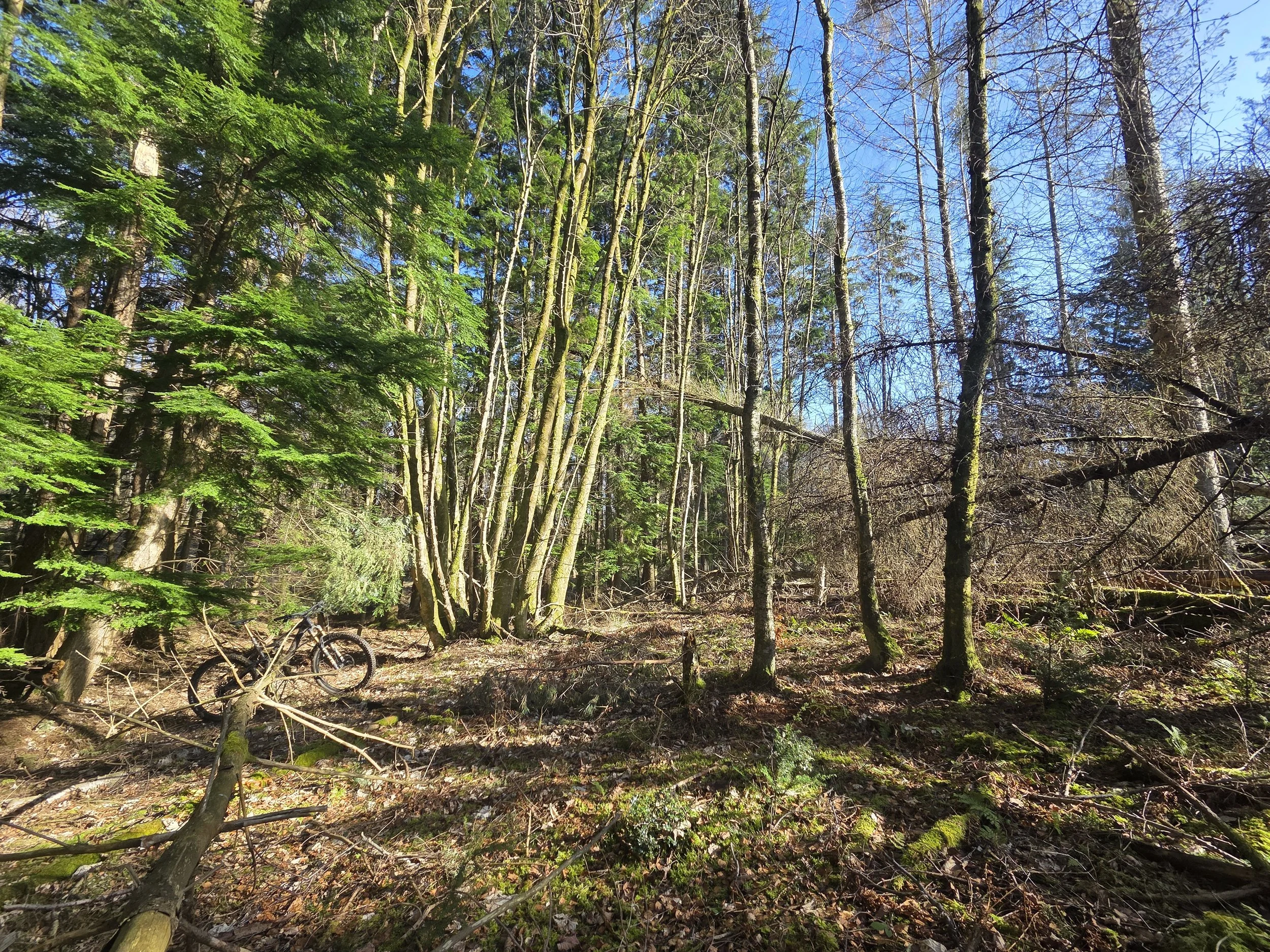 20260303_122639.jpg
