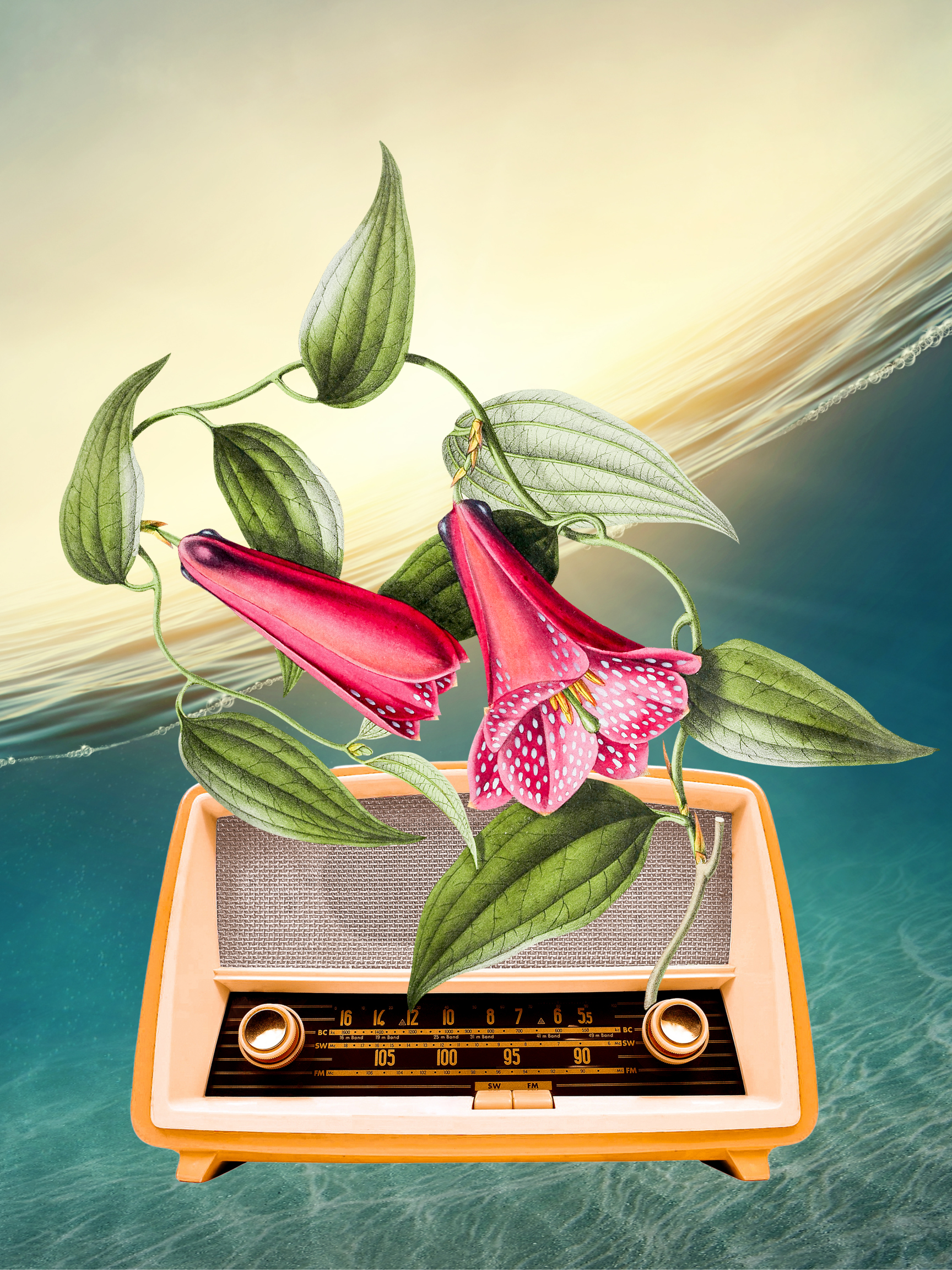 Untitled Collage/ On the Radio 20x24" Acrlic