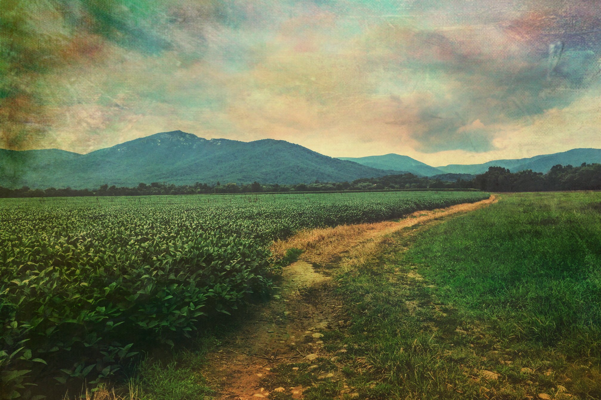 Untitled/ Etlan -
Digital Photograph
22x16" printed on aluminum