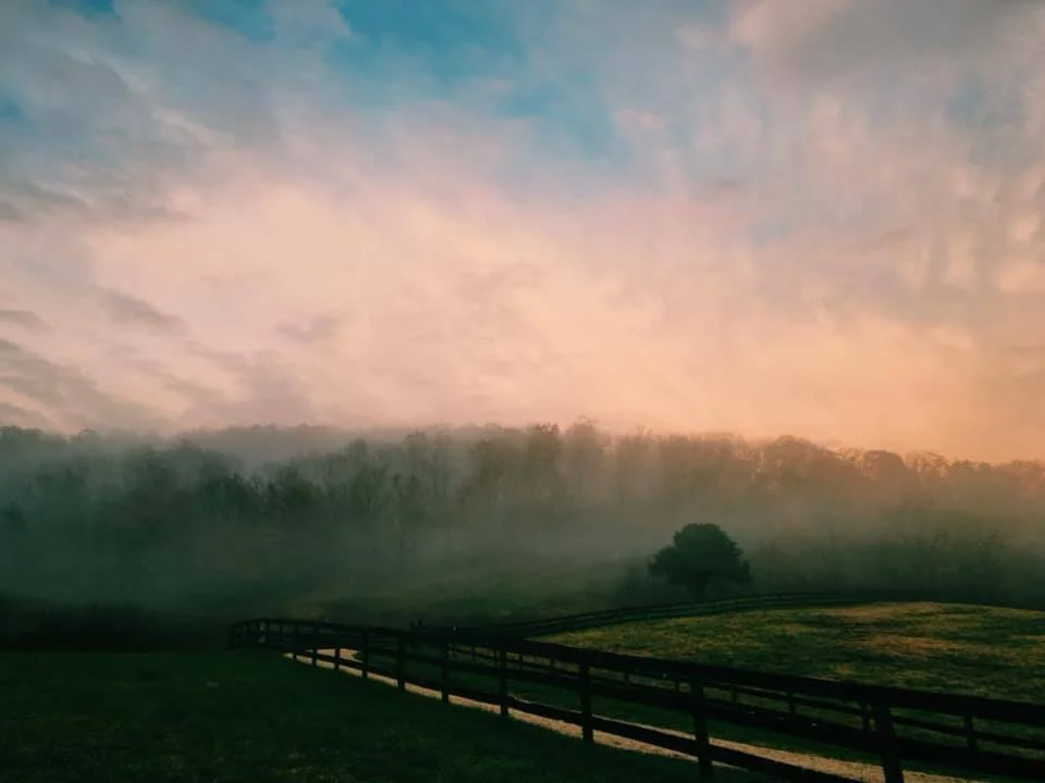 Untitled/Rappahannock - Digital Photograph on 22x16" Printed Alluminum.