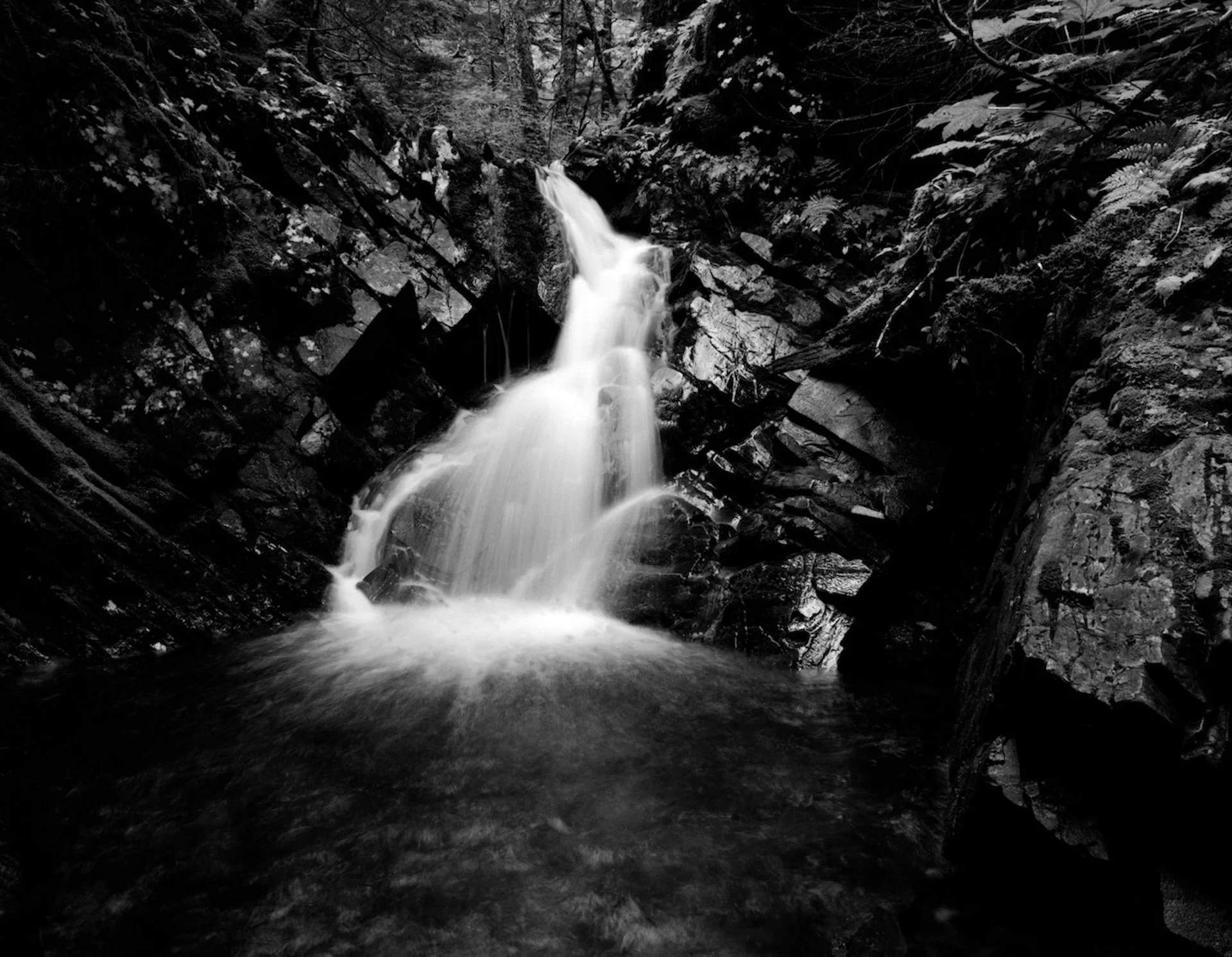 Resurrection Bay, Kenai Pennisula, Alaska