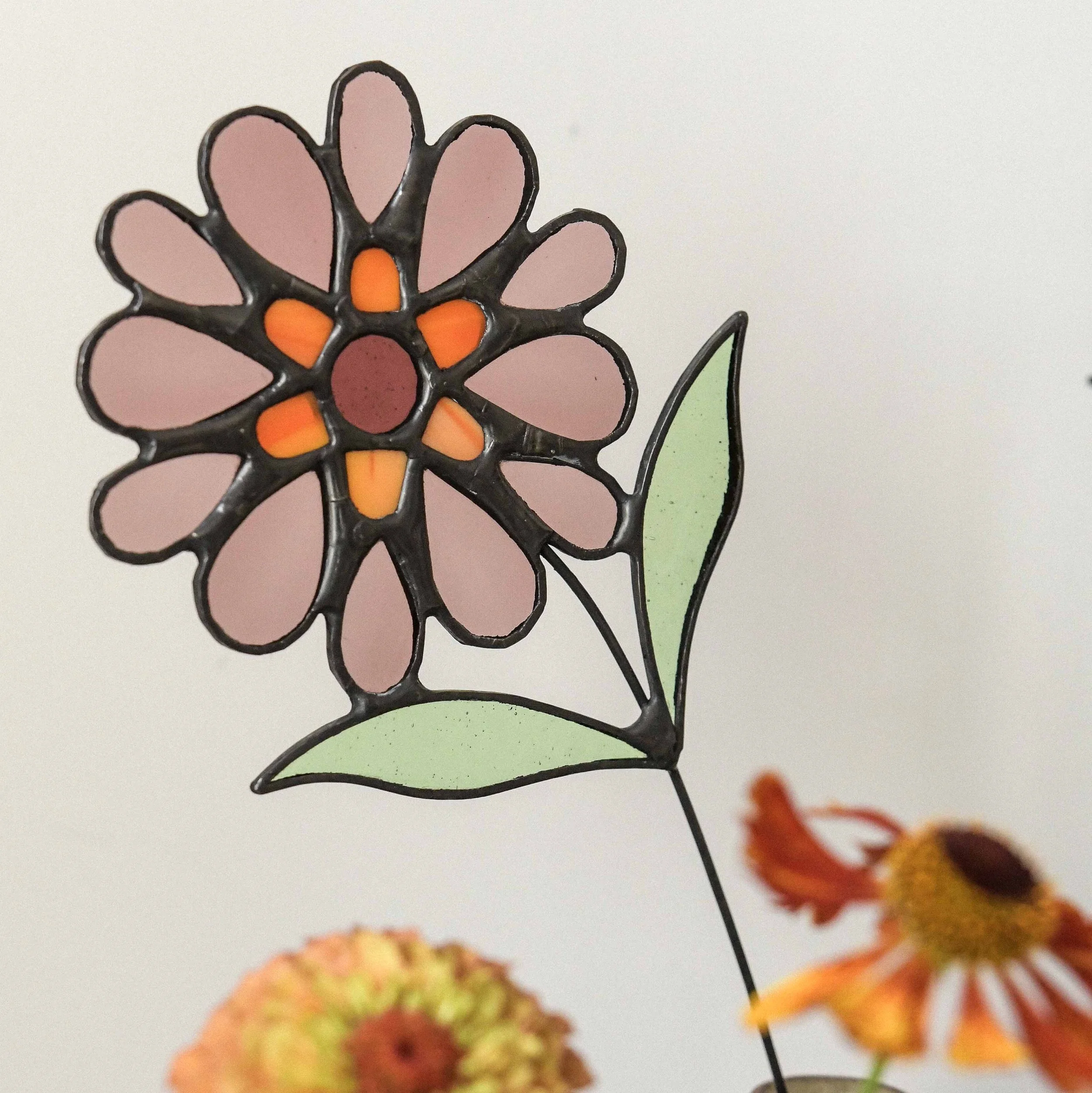 zinnia.jpg