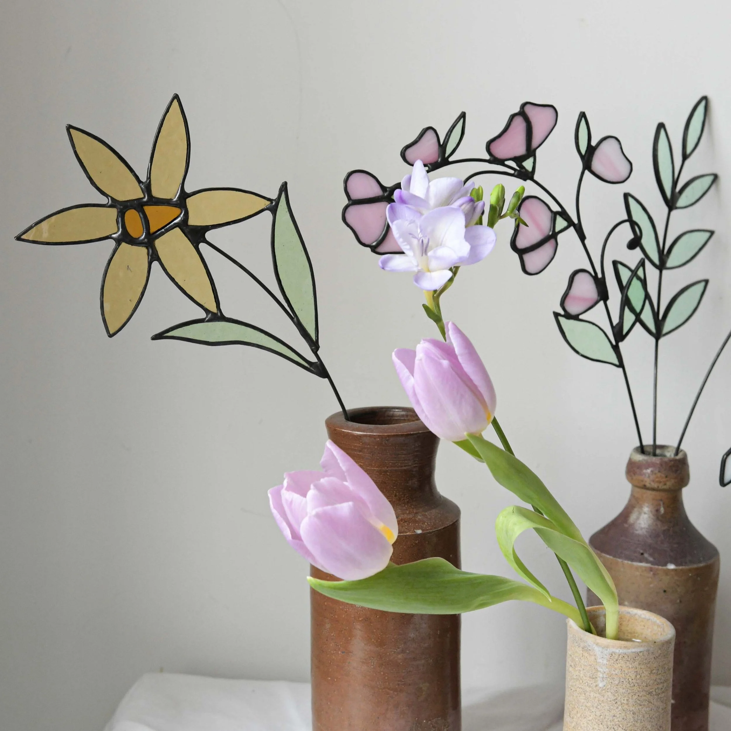 daffodil.jpg