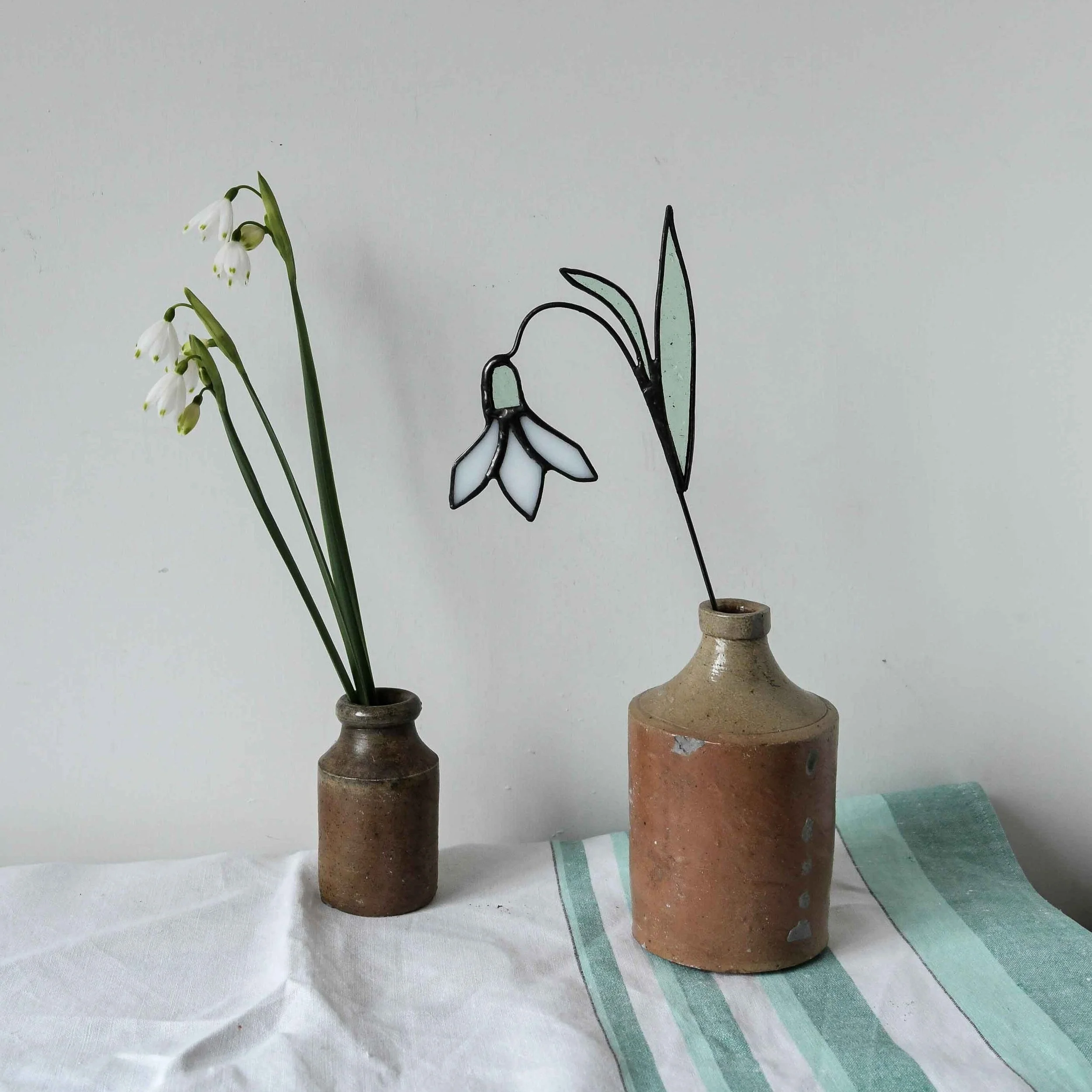 snowdrop.jpg