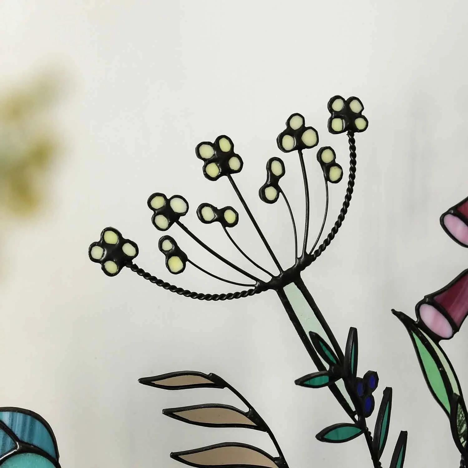 Fennel 1.jpg