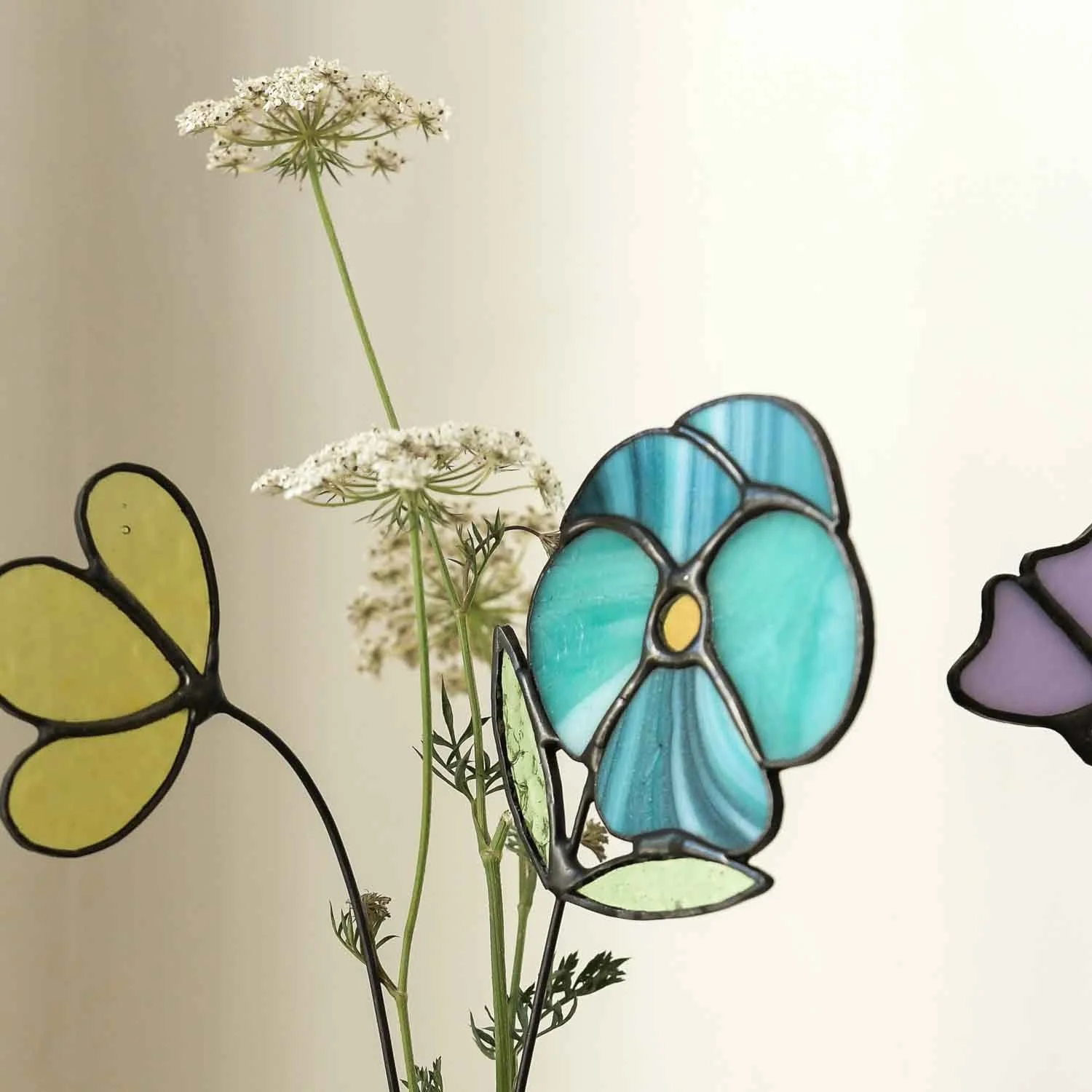 Pansies 1.jpg