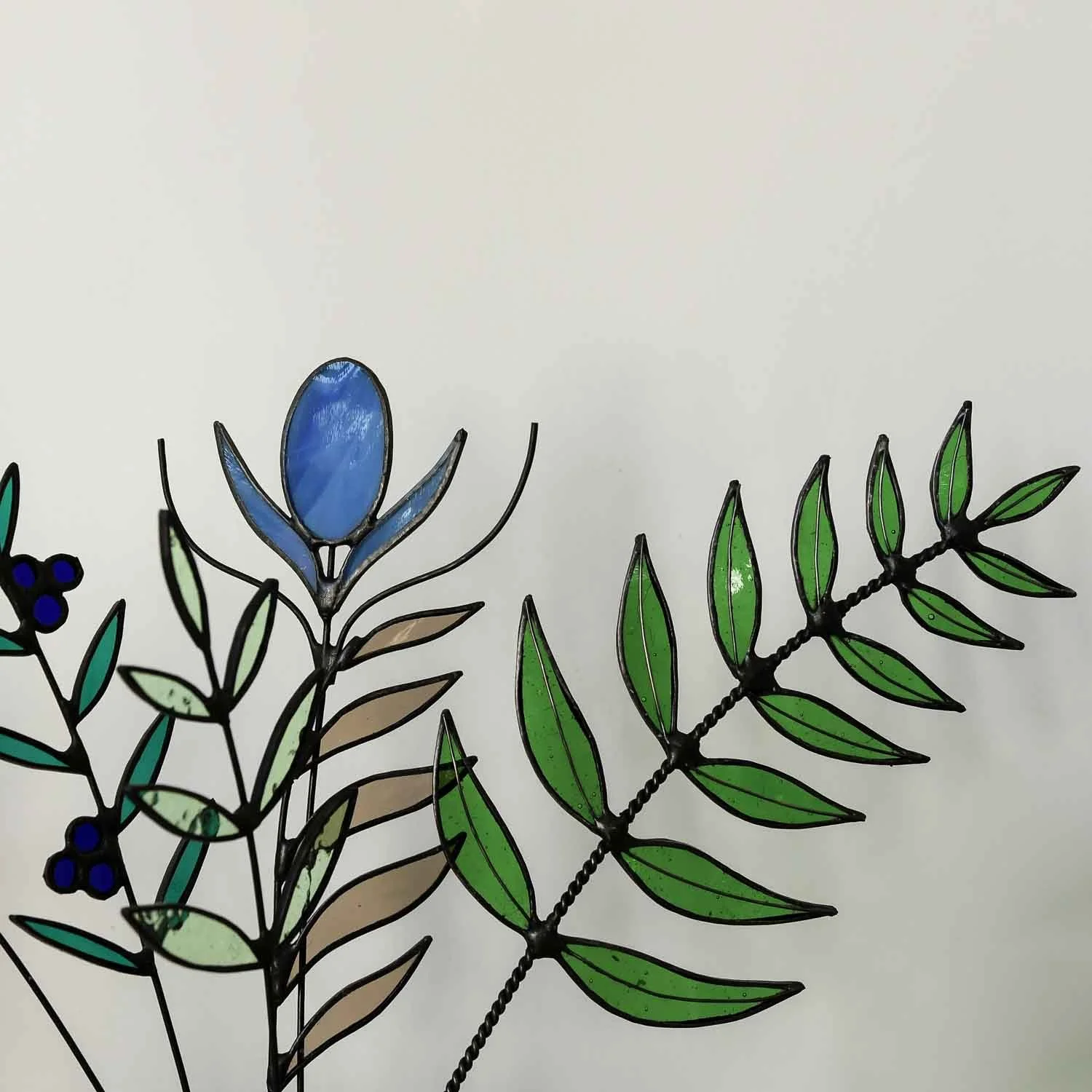 fern 3.jpg