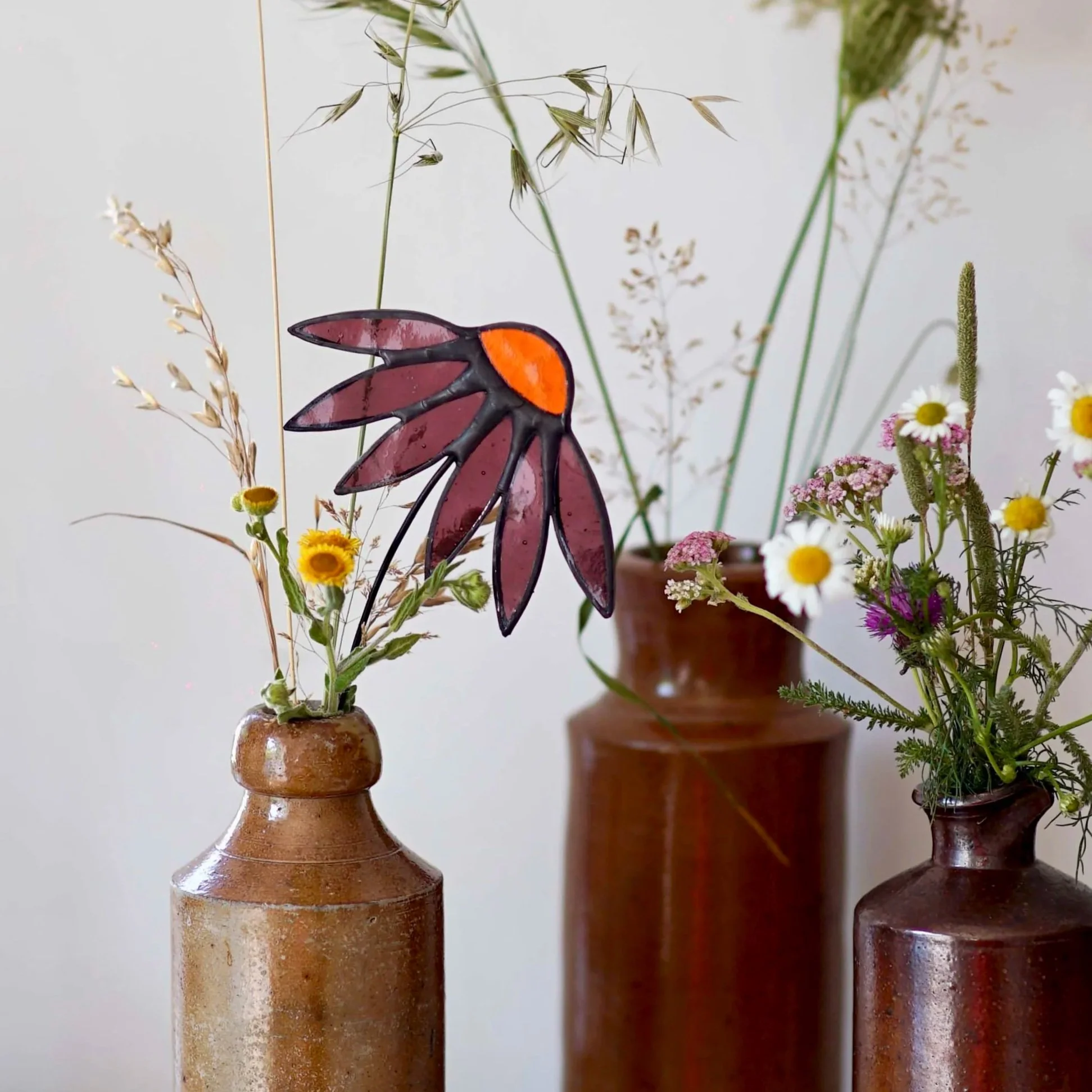 echinacea.jpg