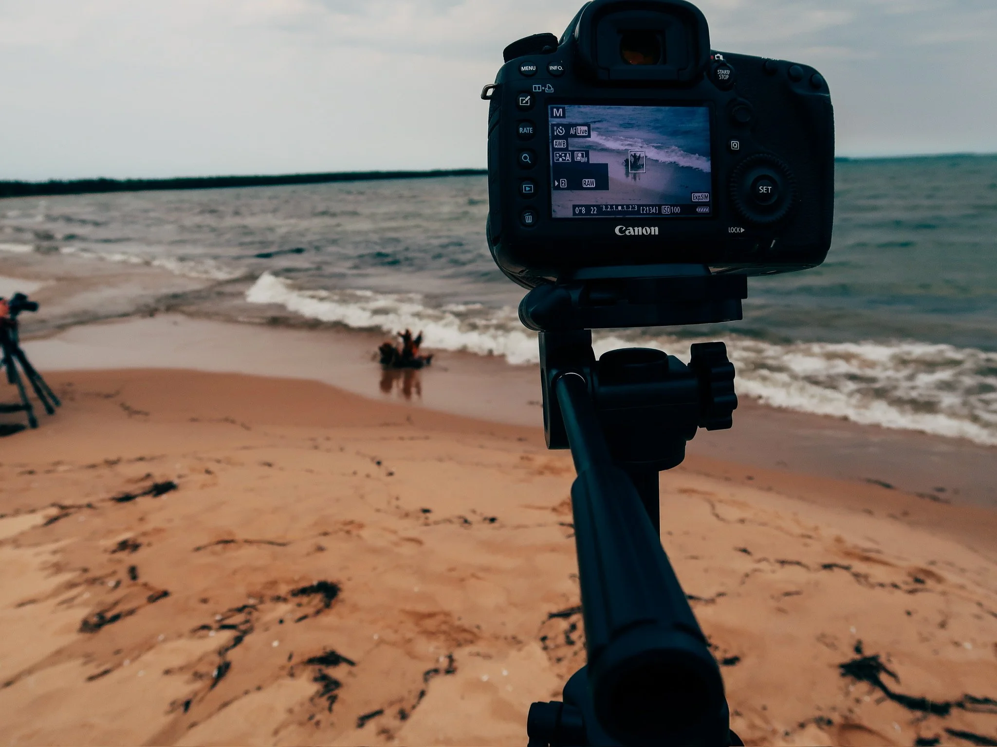 The Year That Changed Everything…