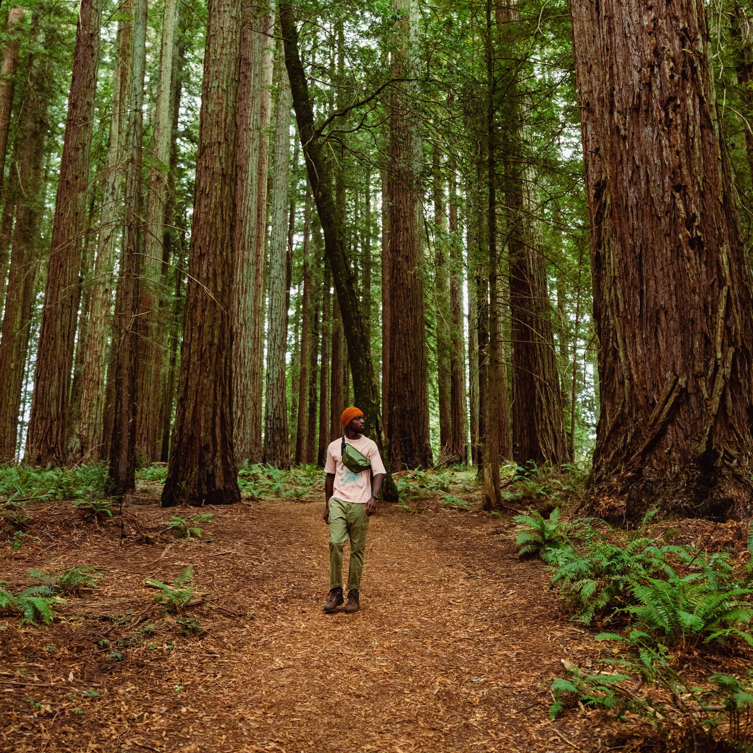 Sonoma County Tourism