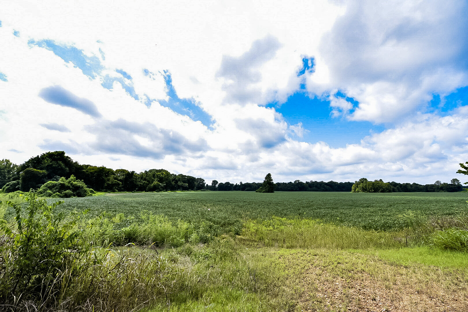 1384 Indian Creek (21).jpeg