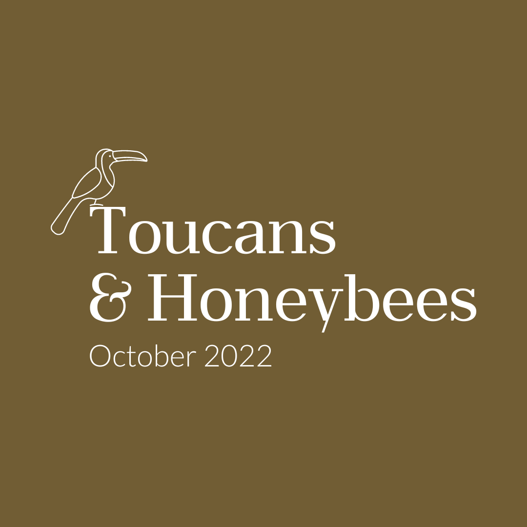 Melissa Newell: Newsletter, October 2022 