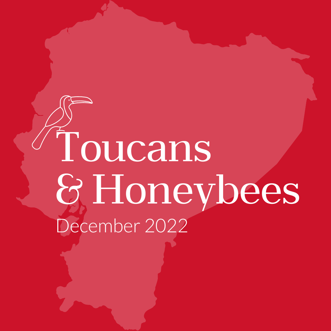 Melissa Newell: Newsletter, December 2022 