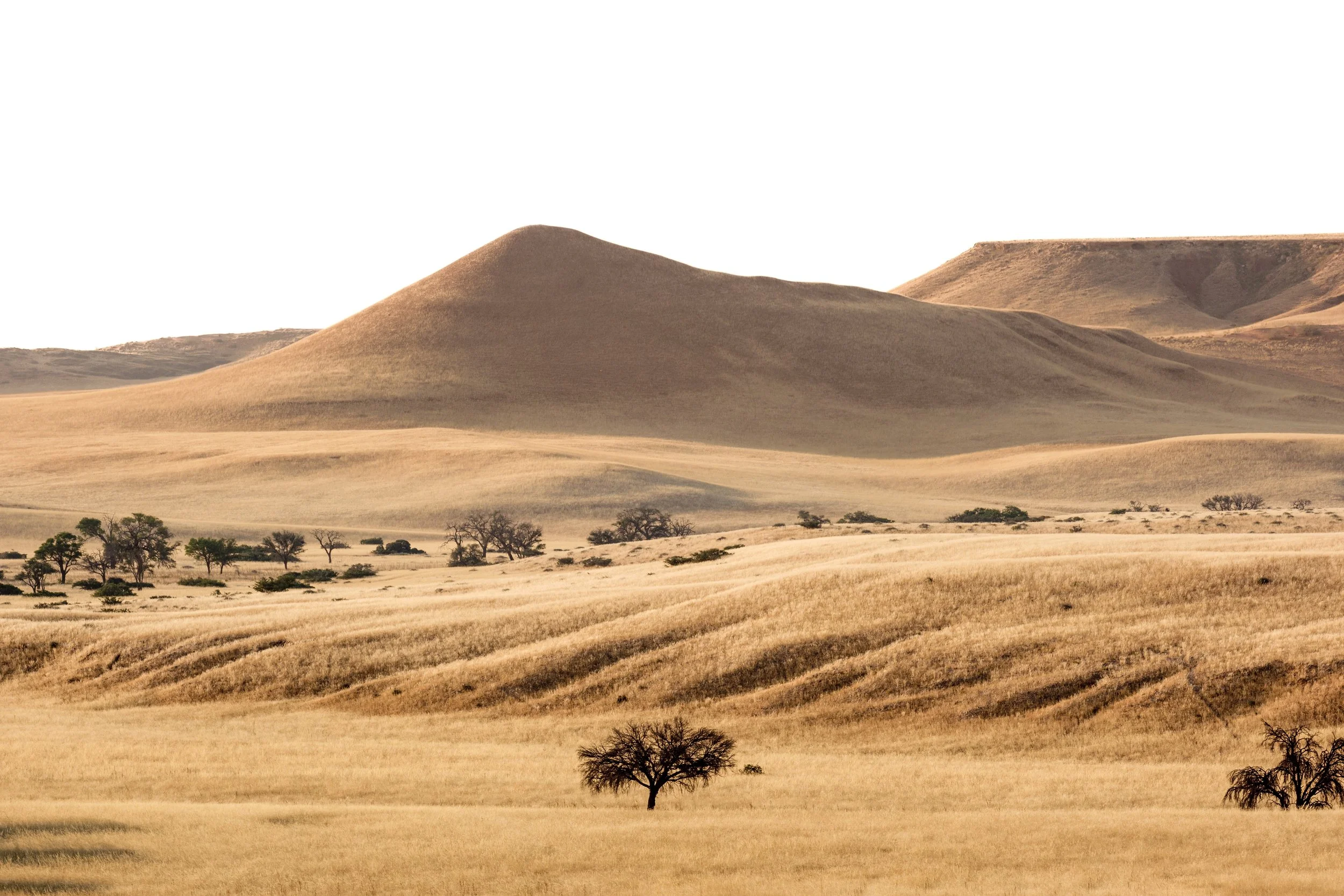 Encounter Worldwide: Namibia