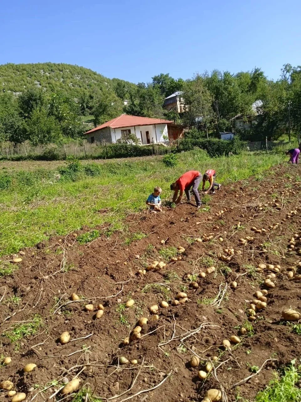 When the Poor Share What They Have