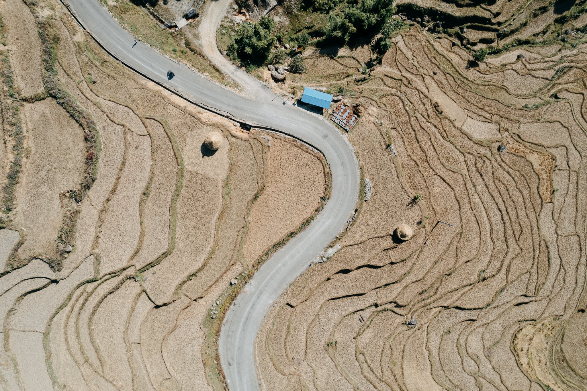 Aerial view of paddy fields - Nepal.jpg