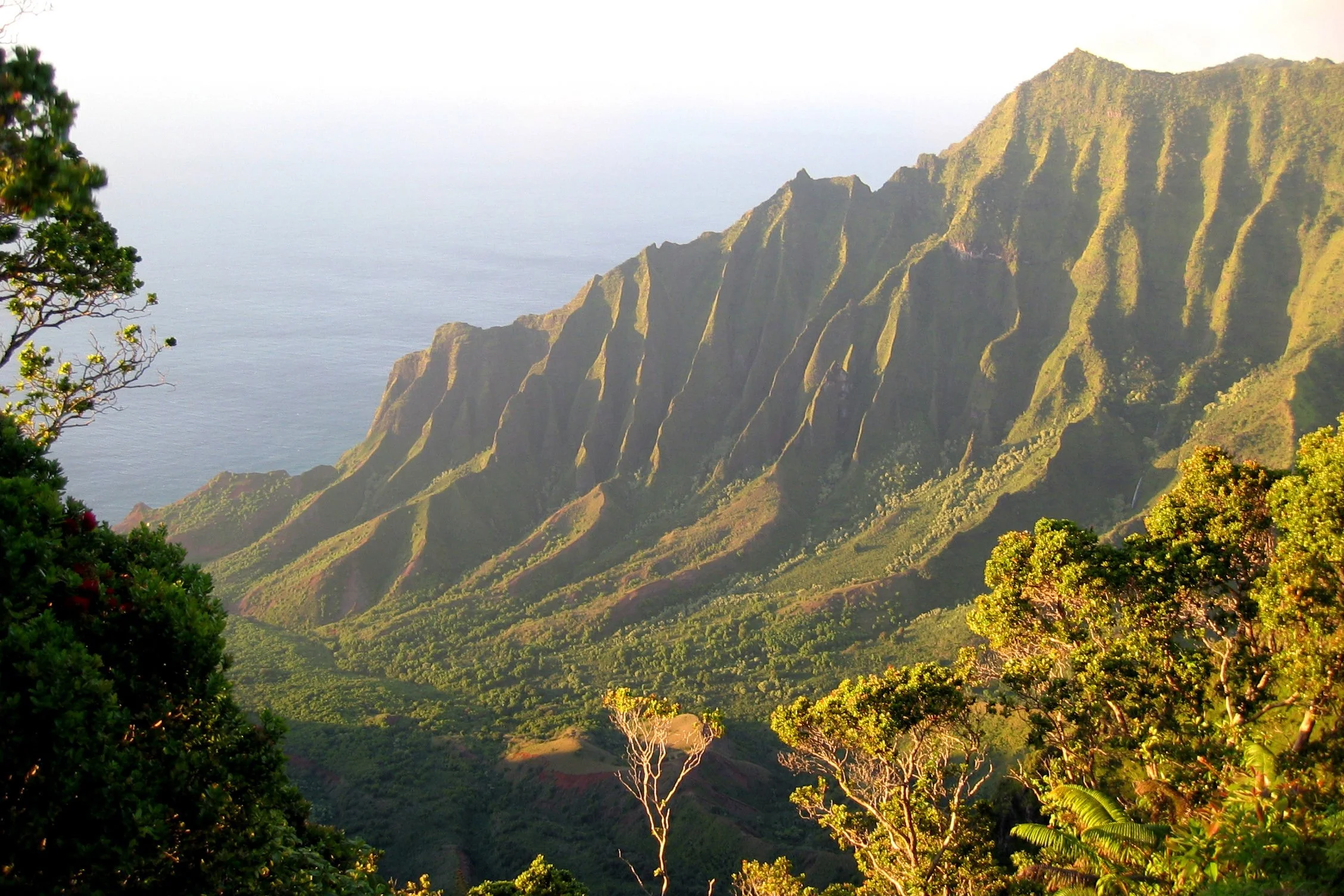 County of Kauaʻi selects ʻIkenākea for Kahua Hoʻoulu