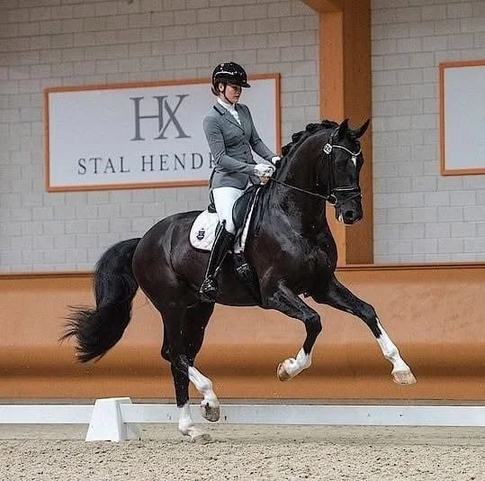 Emma van der Hooven.jpeg