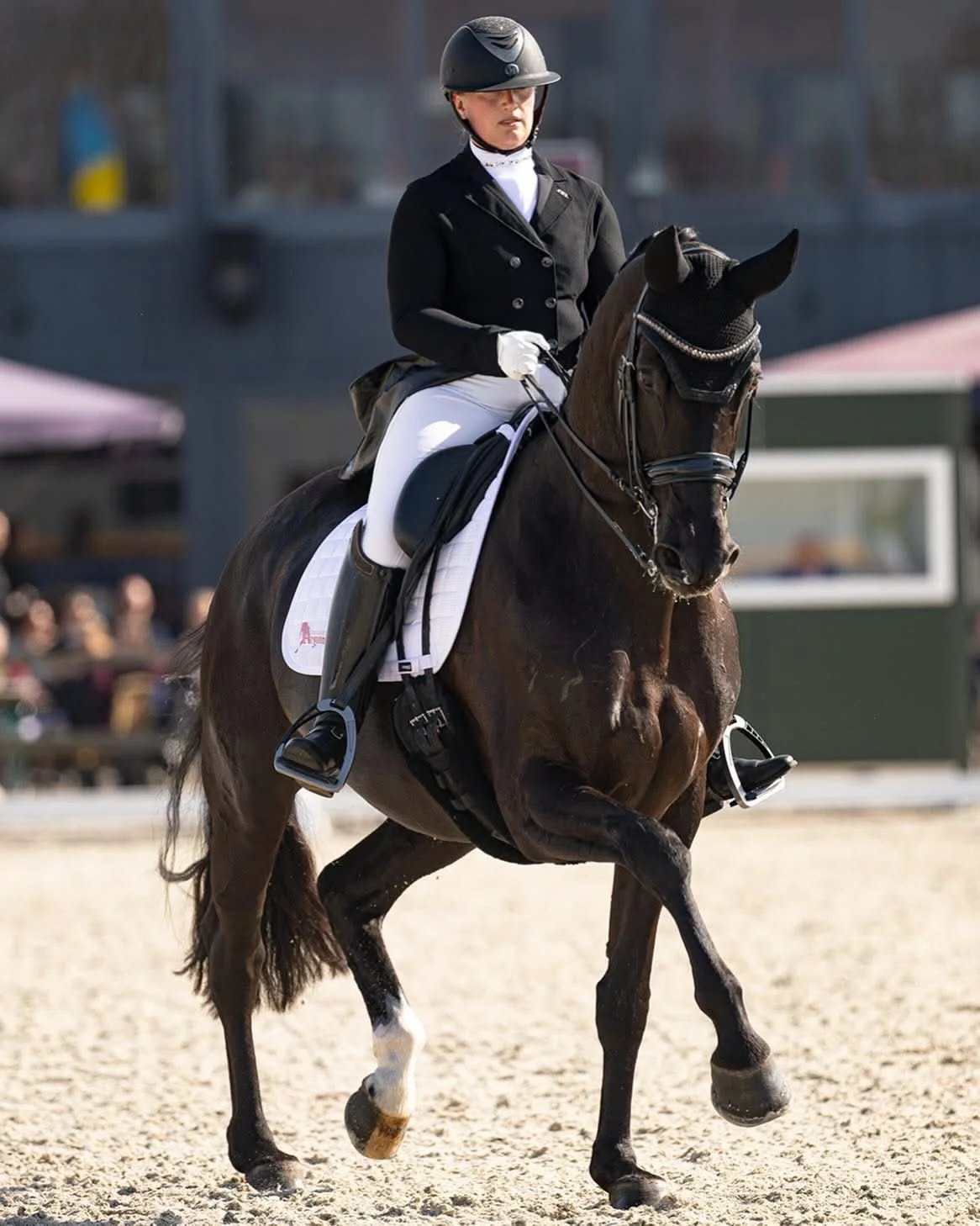 Lisanne Zoutendijk.jpeg