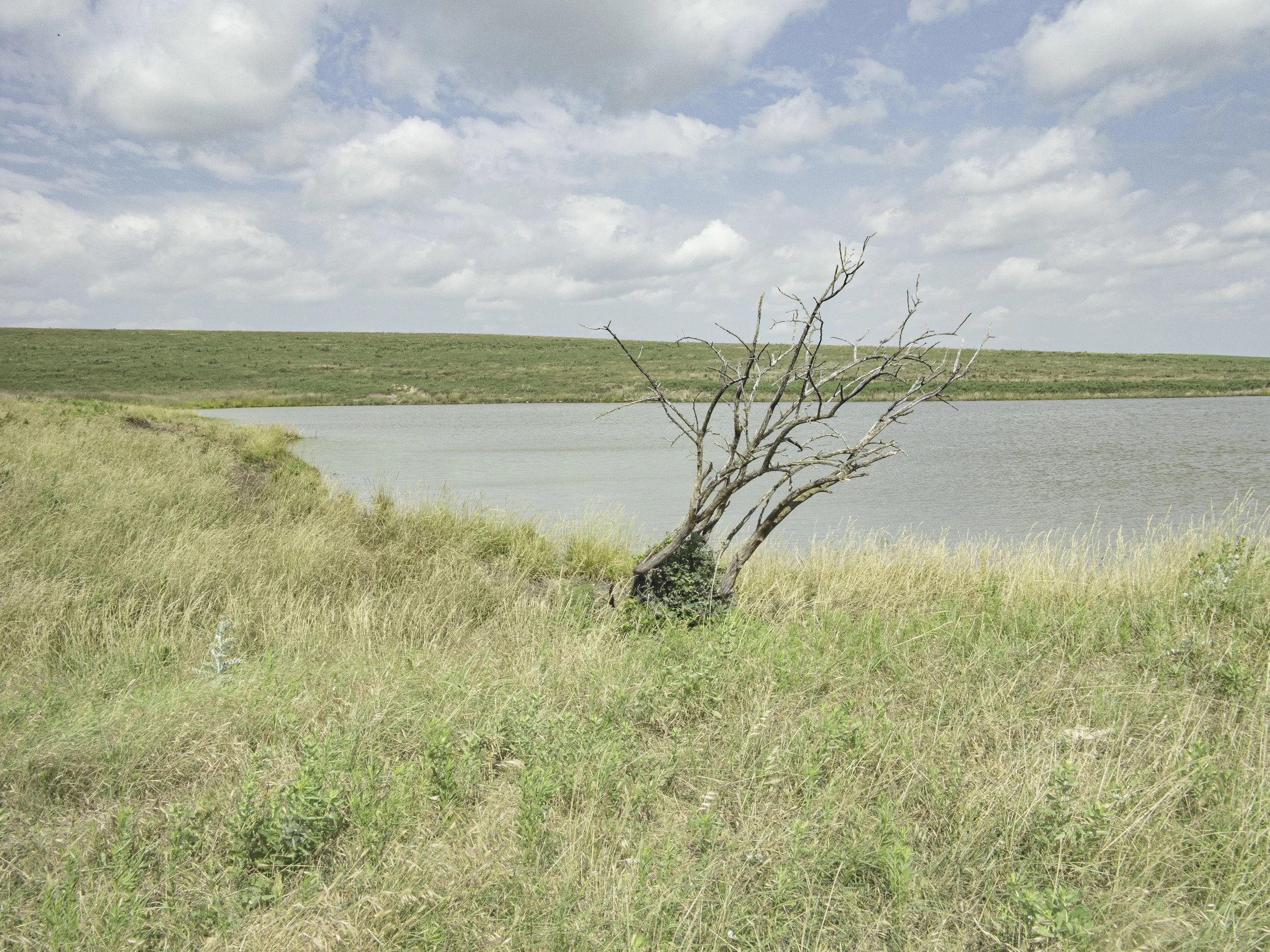 Photographs by Don Wolfe