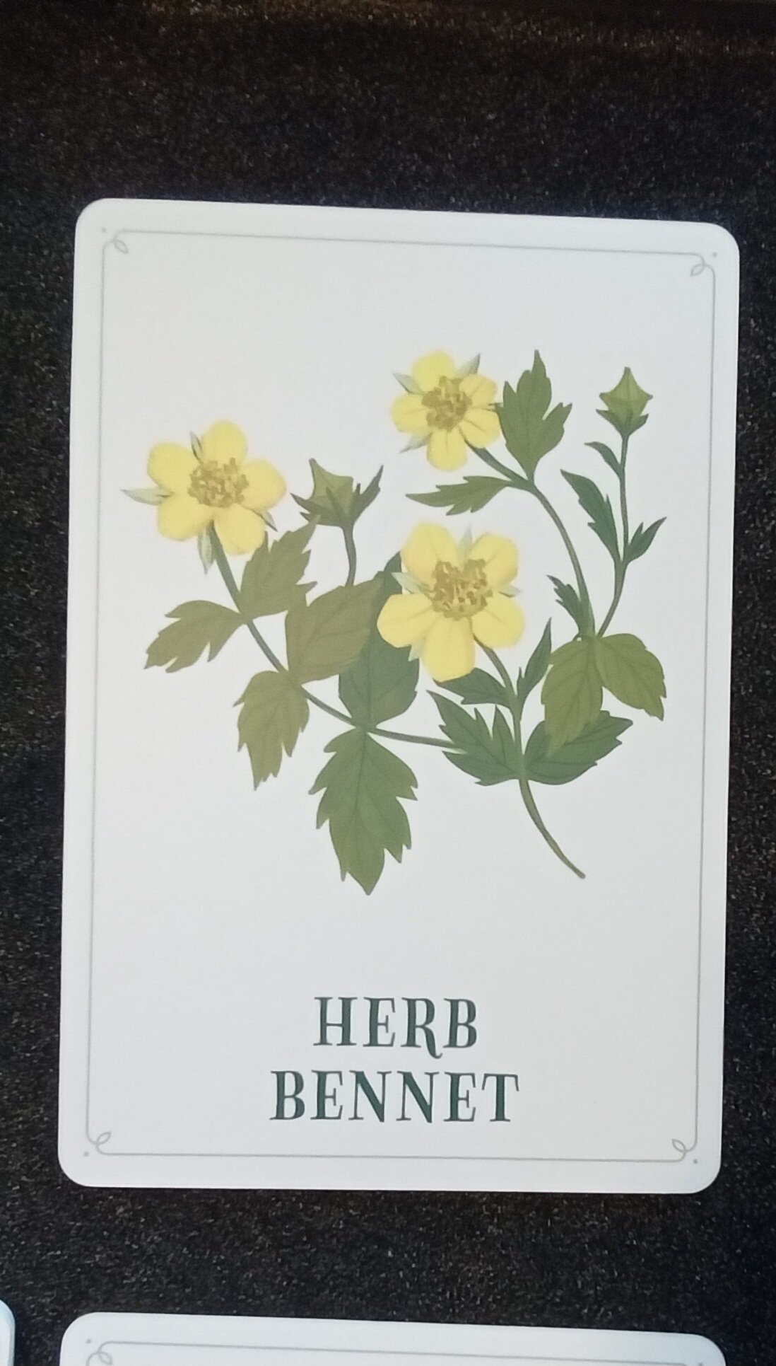 1000122882.jpg