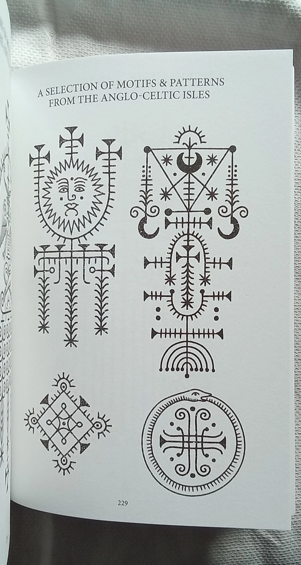 1000104570.jpg