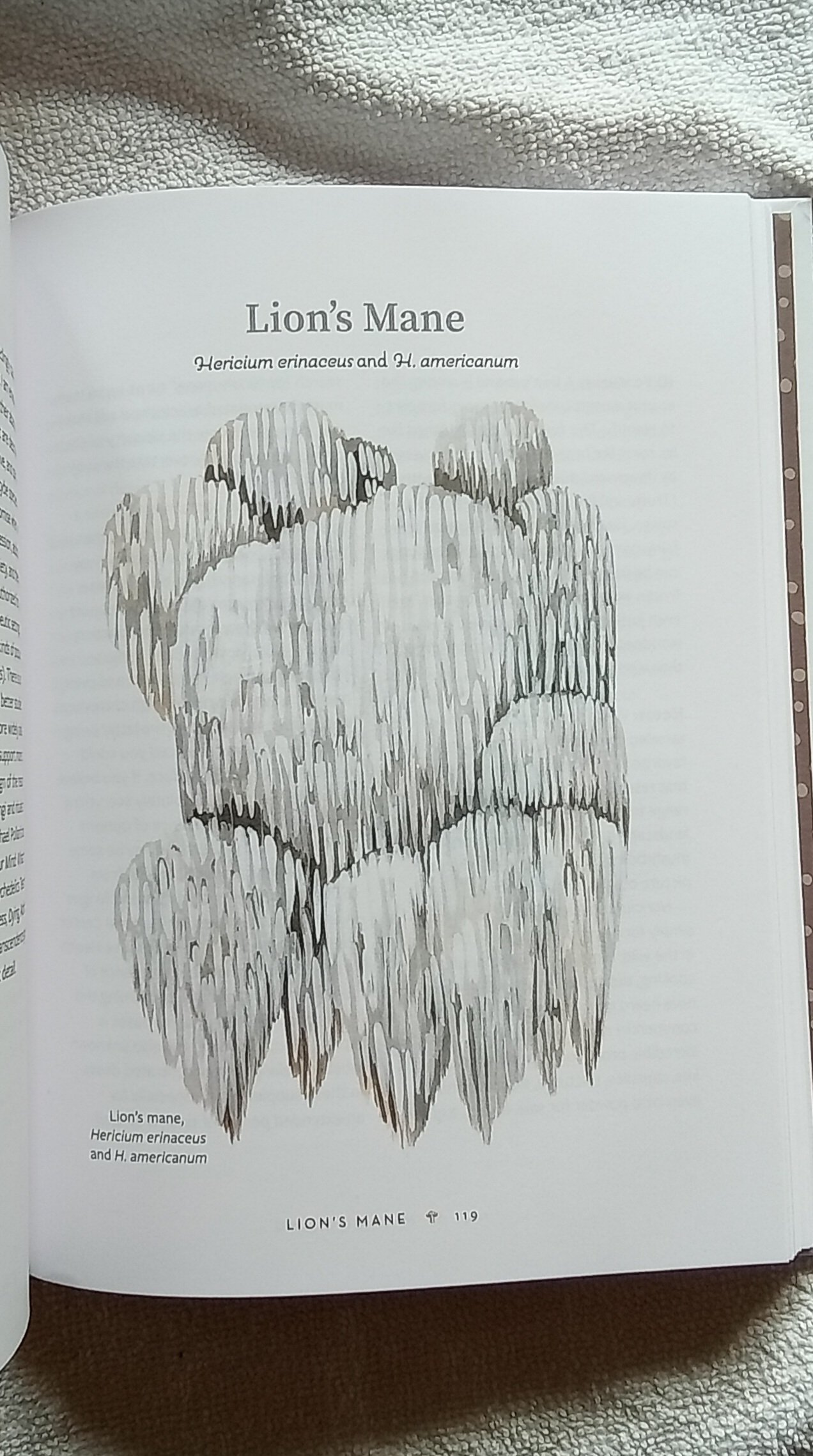 1000078491.jpg