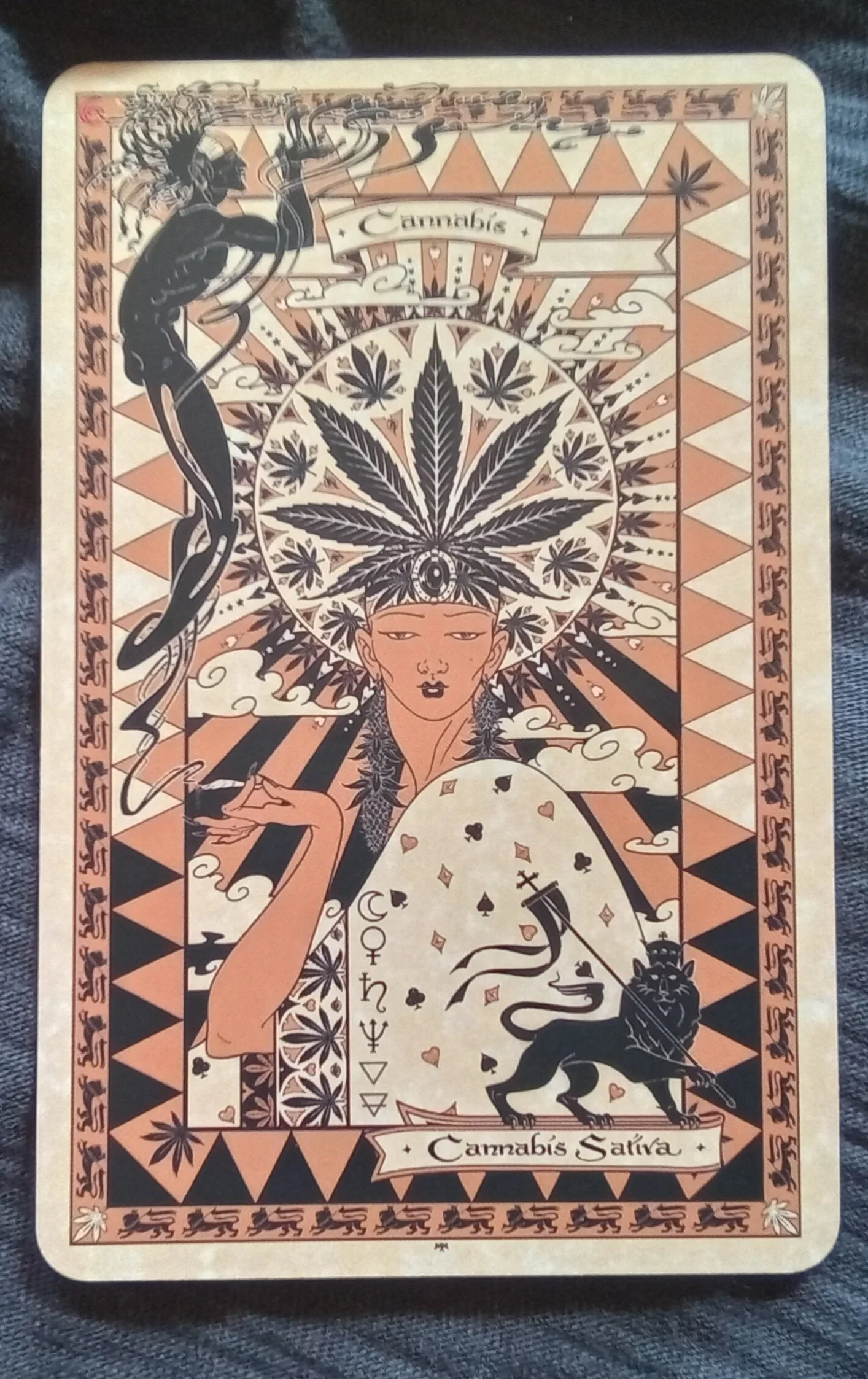 1000128069.jpg