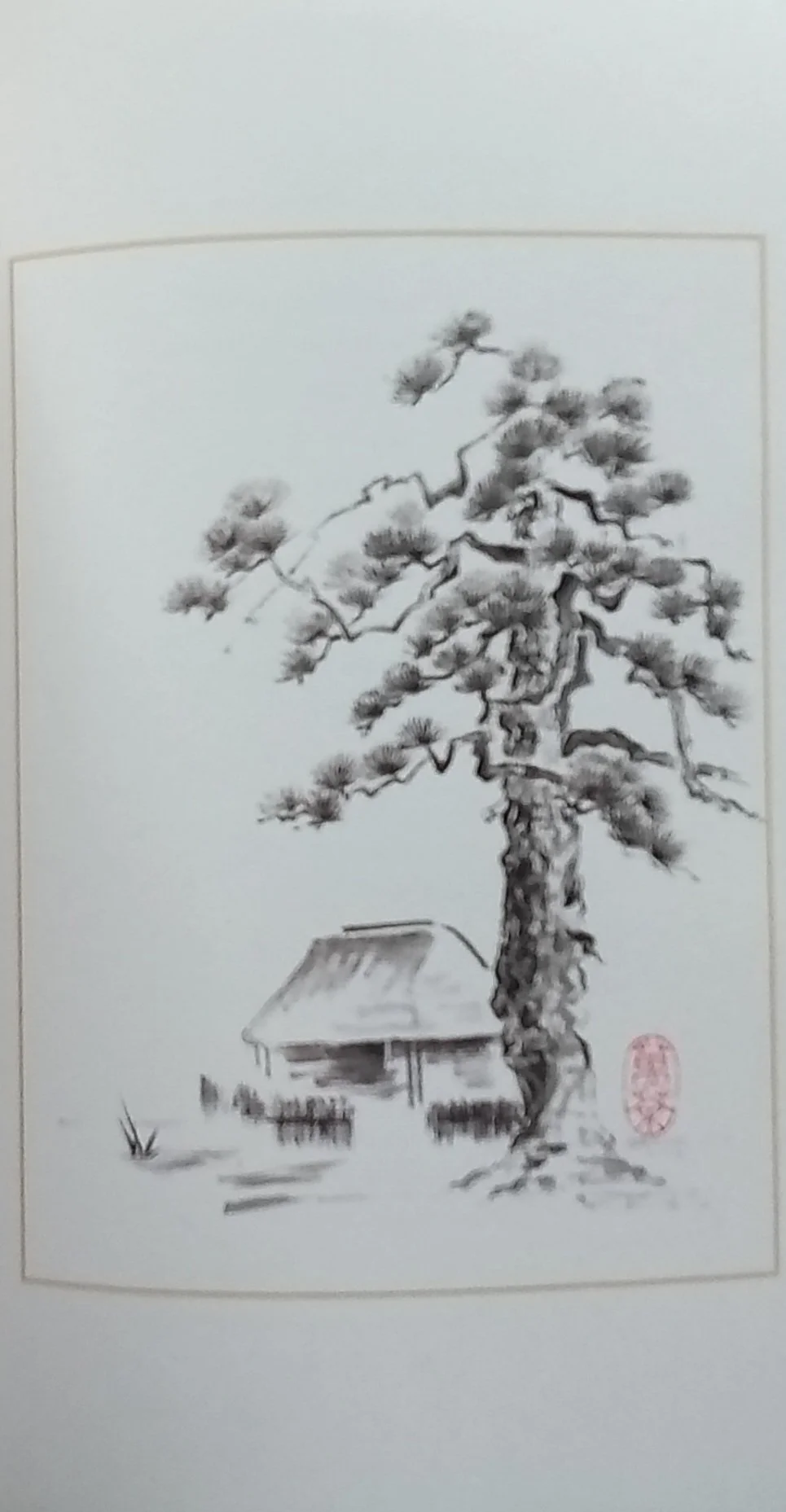 1000119916.jpg