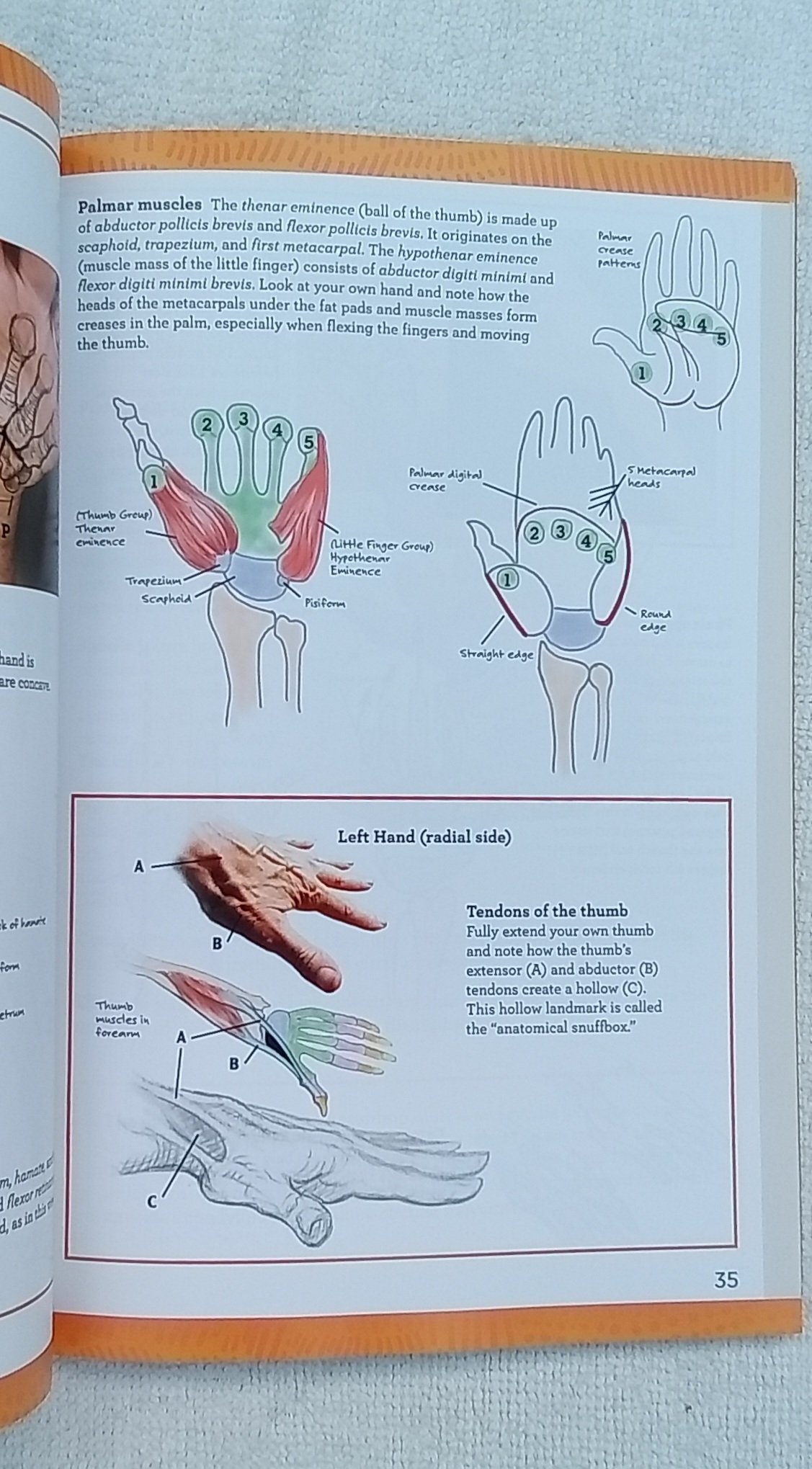 1000085618.jpg