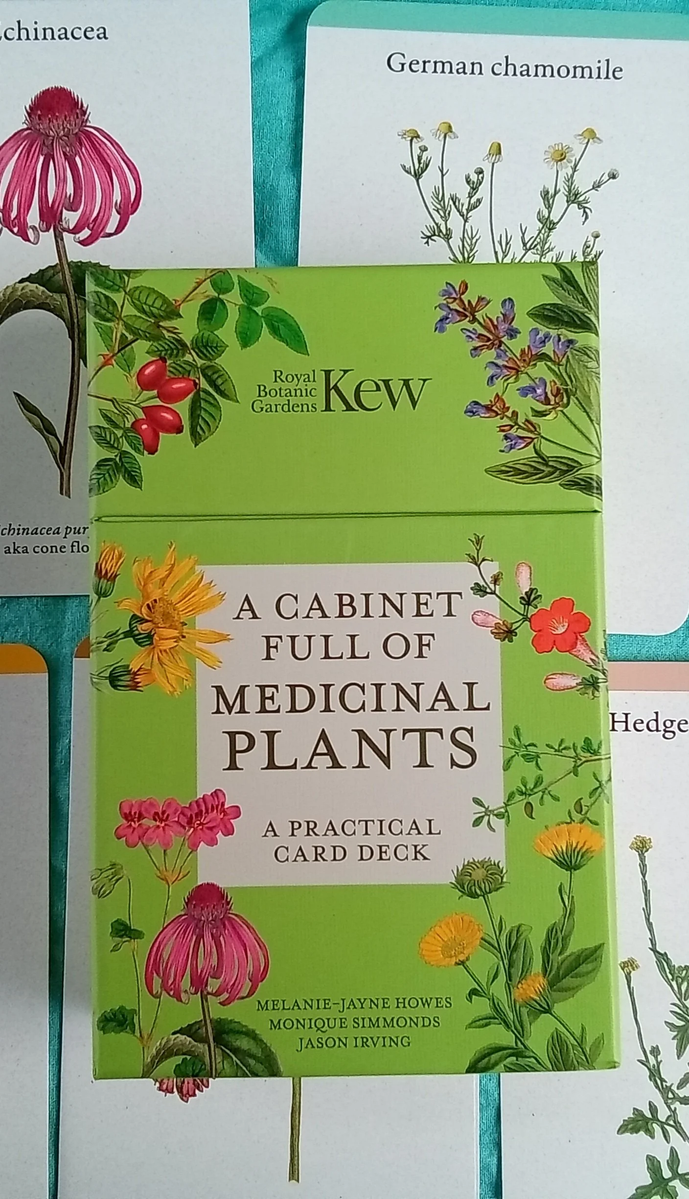 Cabinet Full of Medicinal Plants: A Practical Card Deck (Kew Experts